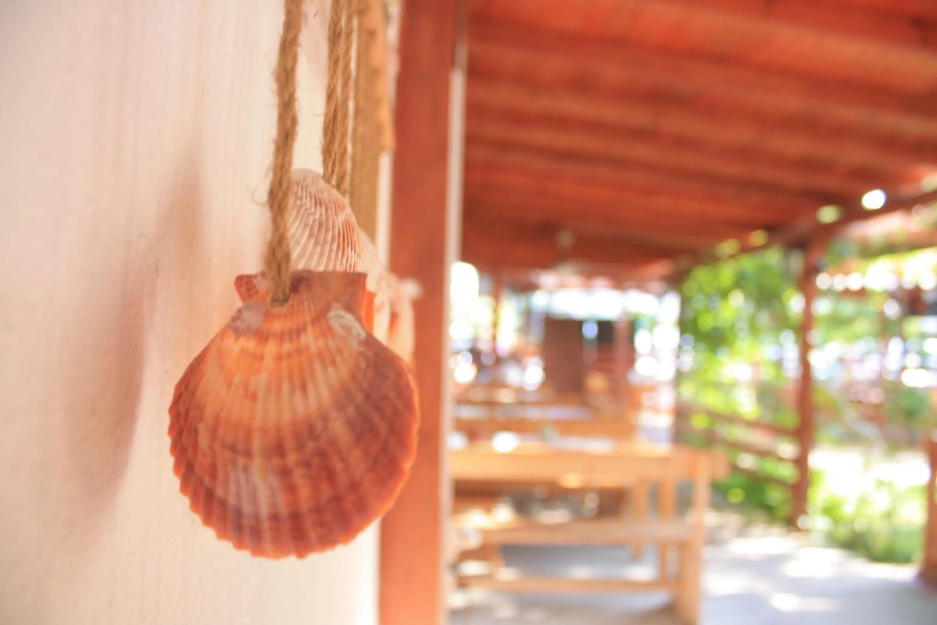 Alba Family Club Hotel