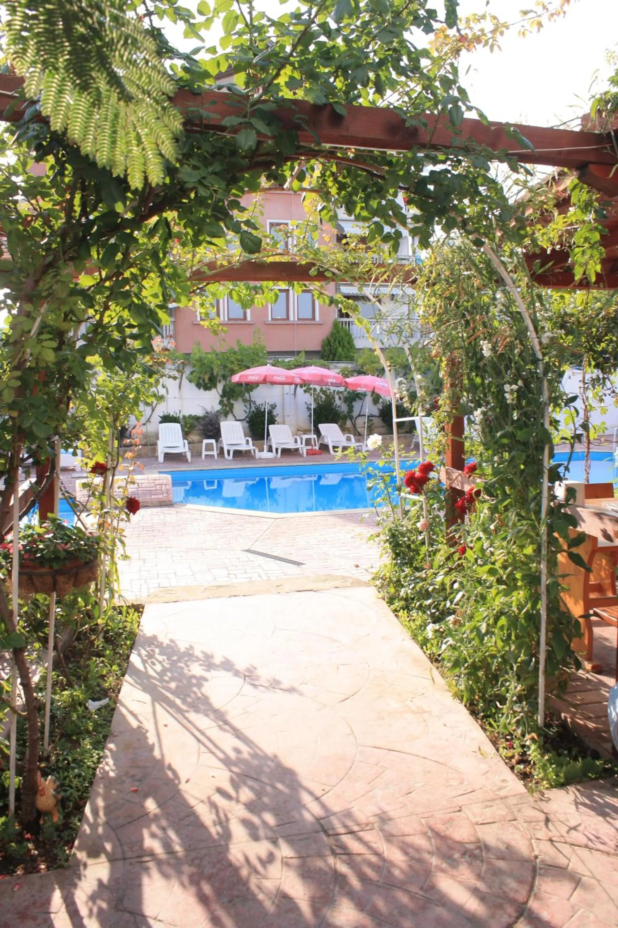 Alba Family Club Hotel