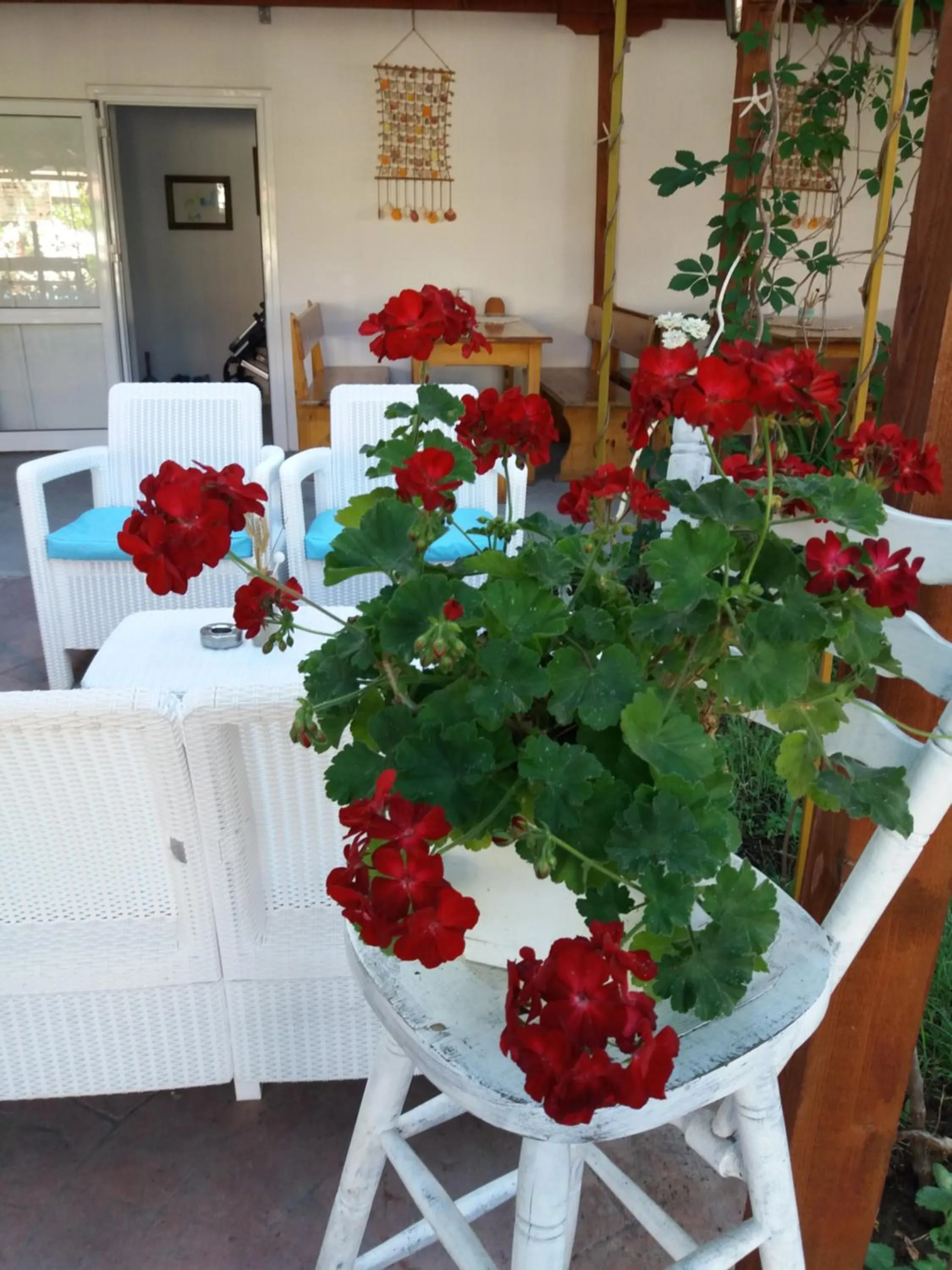 Alba Family Club Hotel