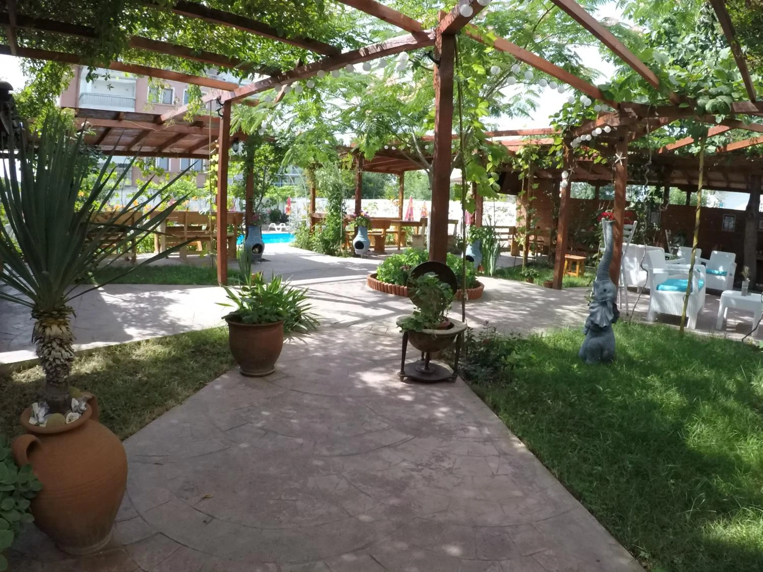 Alba Family Club Hotel