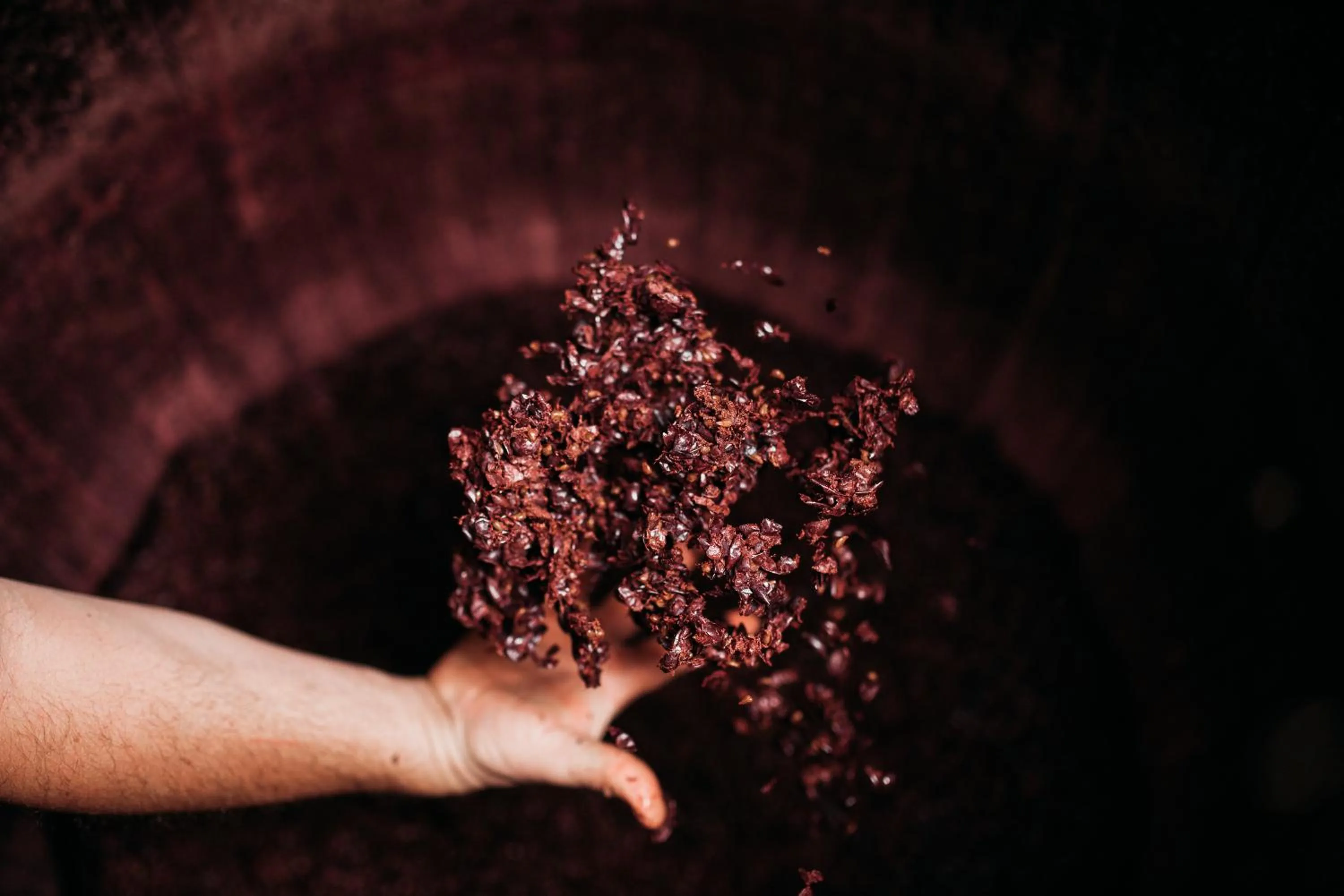 Activities in Weingut & Genusshotel Spitalerhof Superior