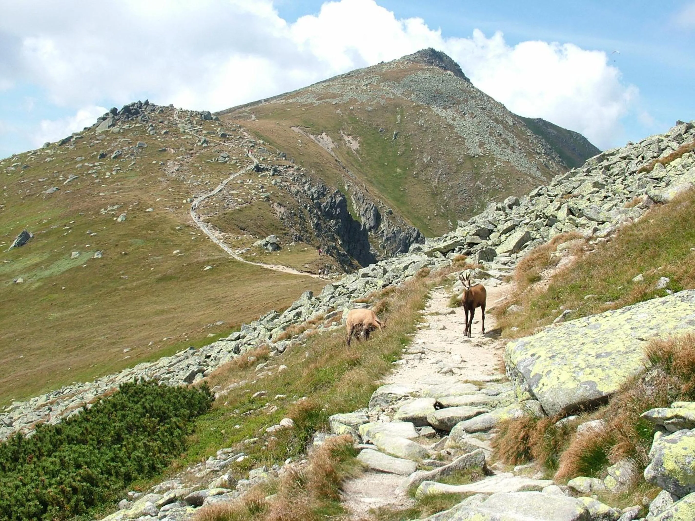 Natural landscape in Apartmán KLAUDIA Tále