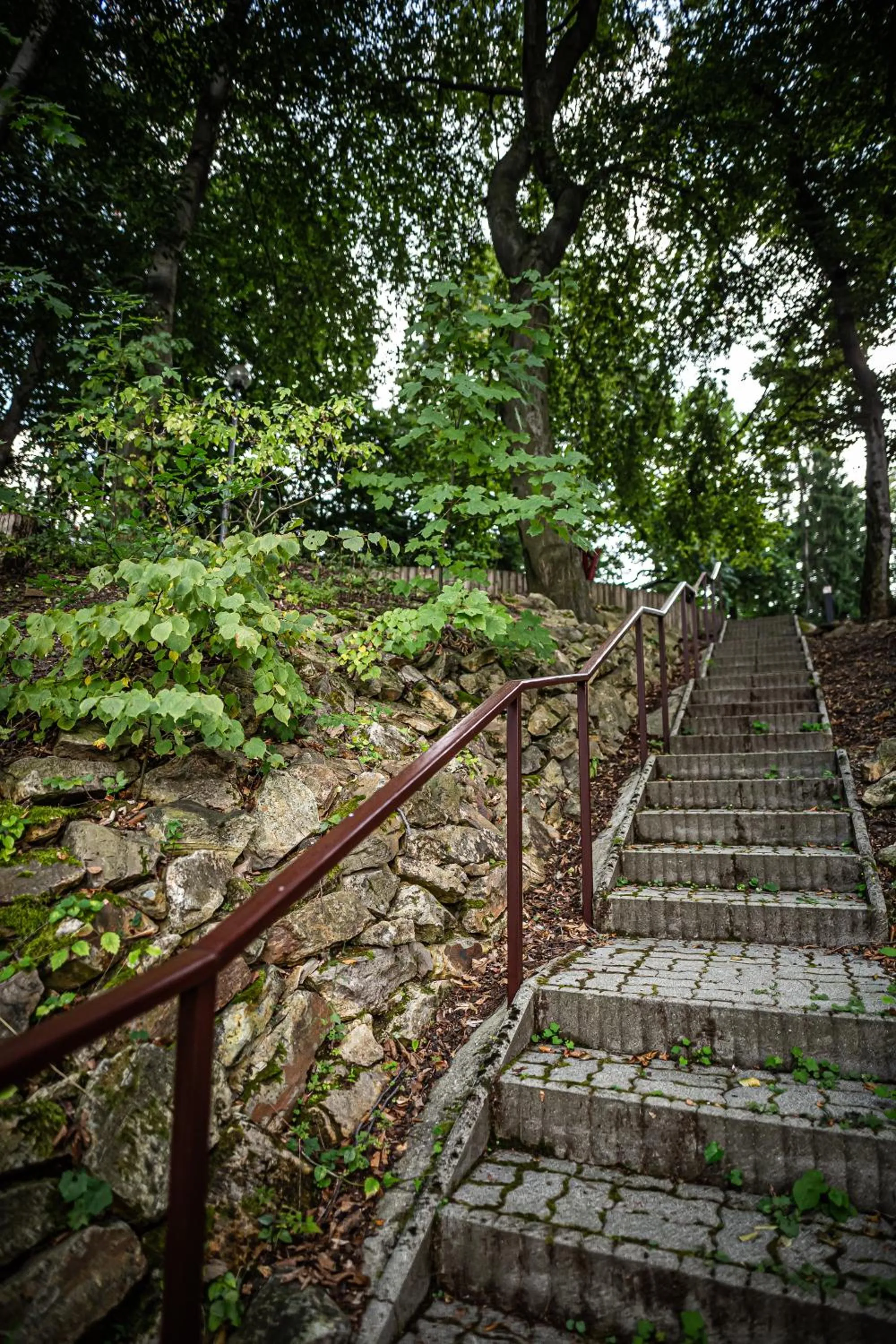 Day in 4 Évszak Hegyihotel