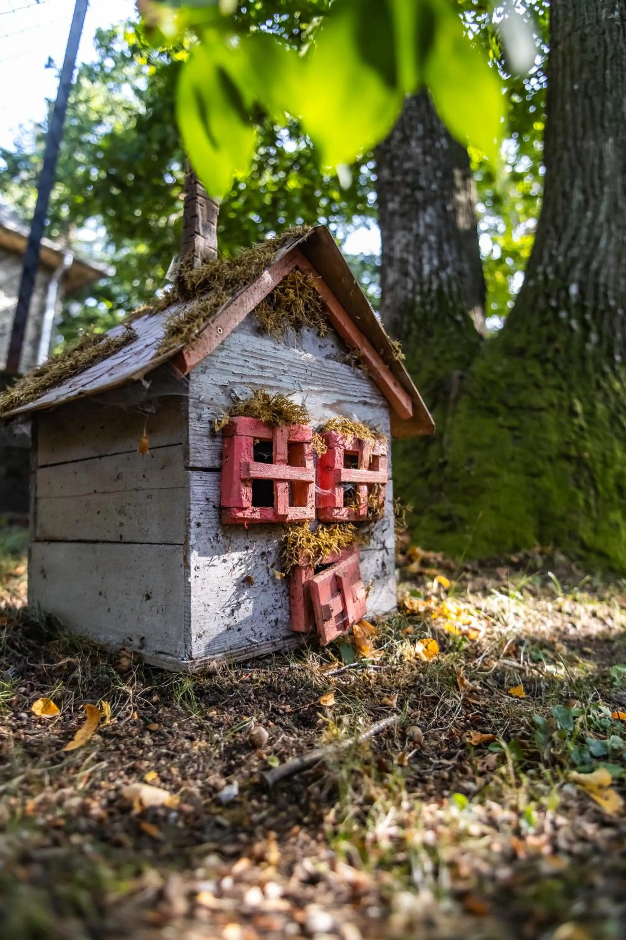 Day in 4 Évszak Hegyihotel