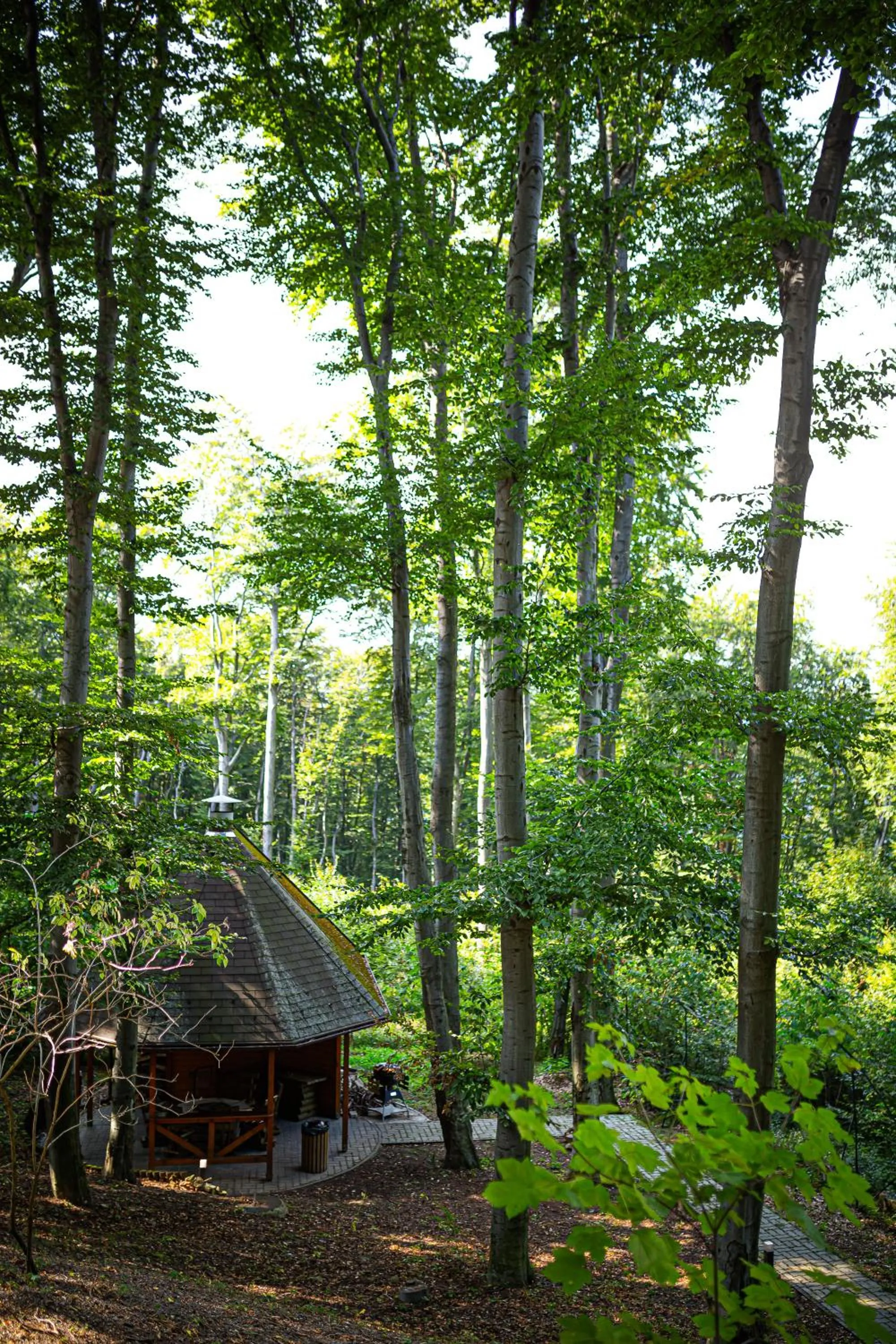 Day in 4 Évszak Hegyihotel