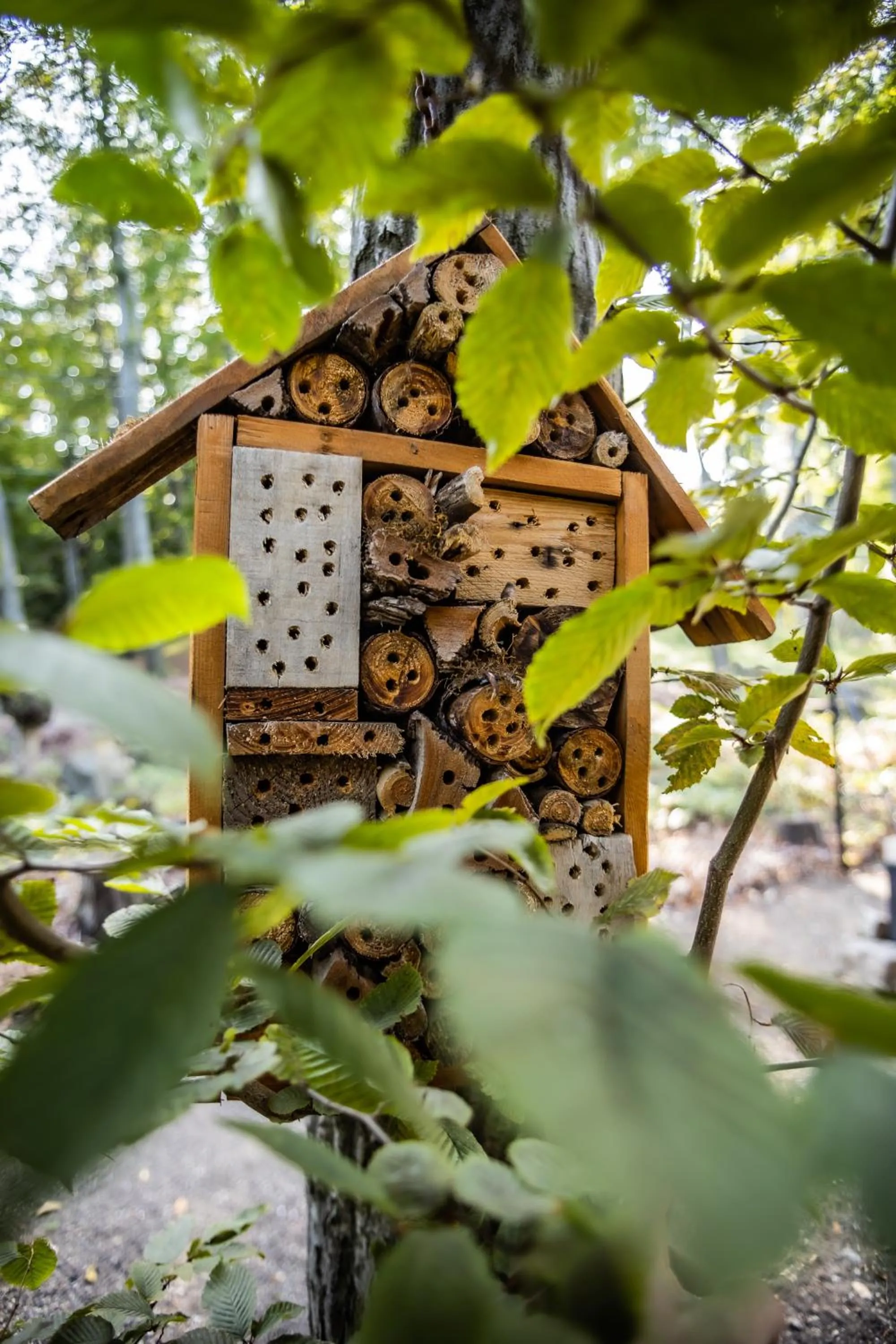 Garden in 4 Évszak Hegyihotel