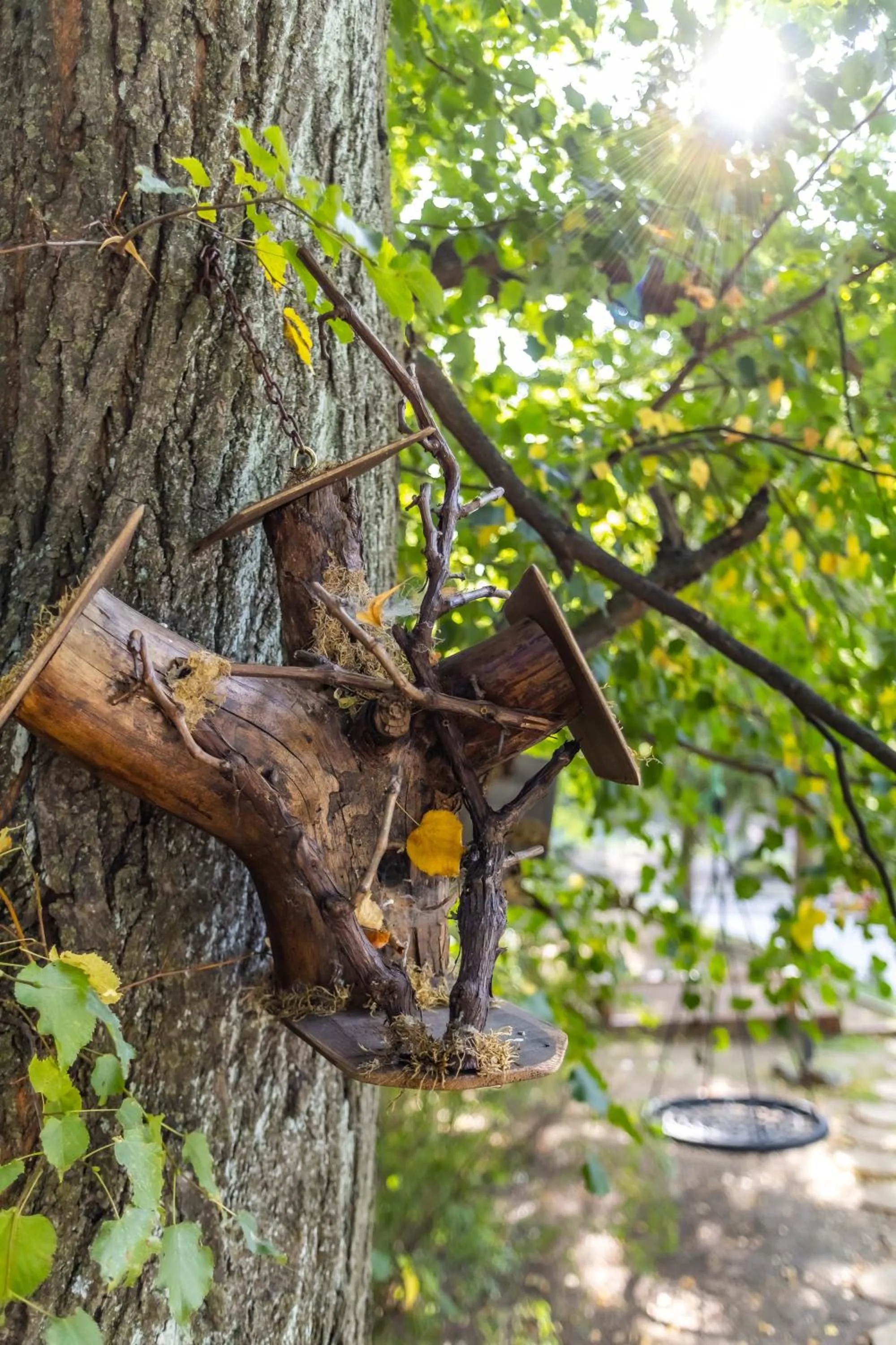 Natural landscape in 4 Évszak Hegyihotel