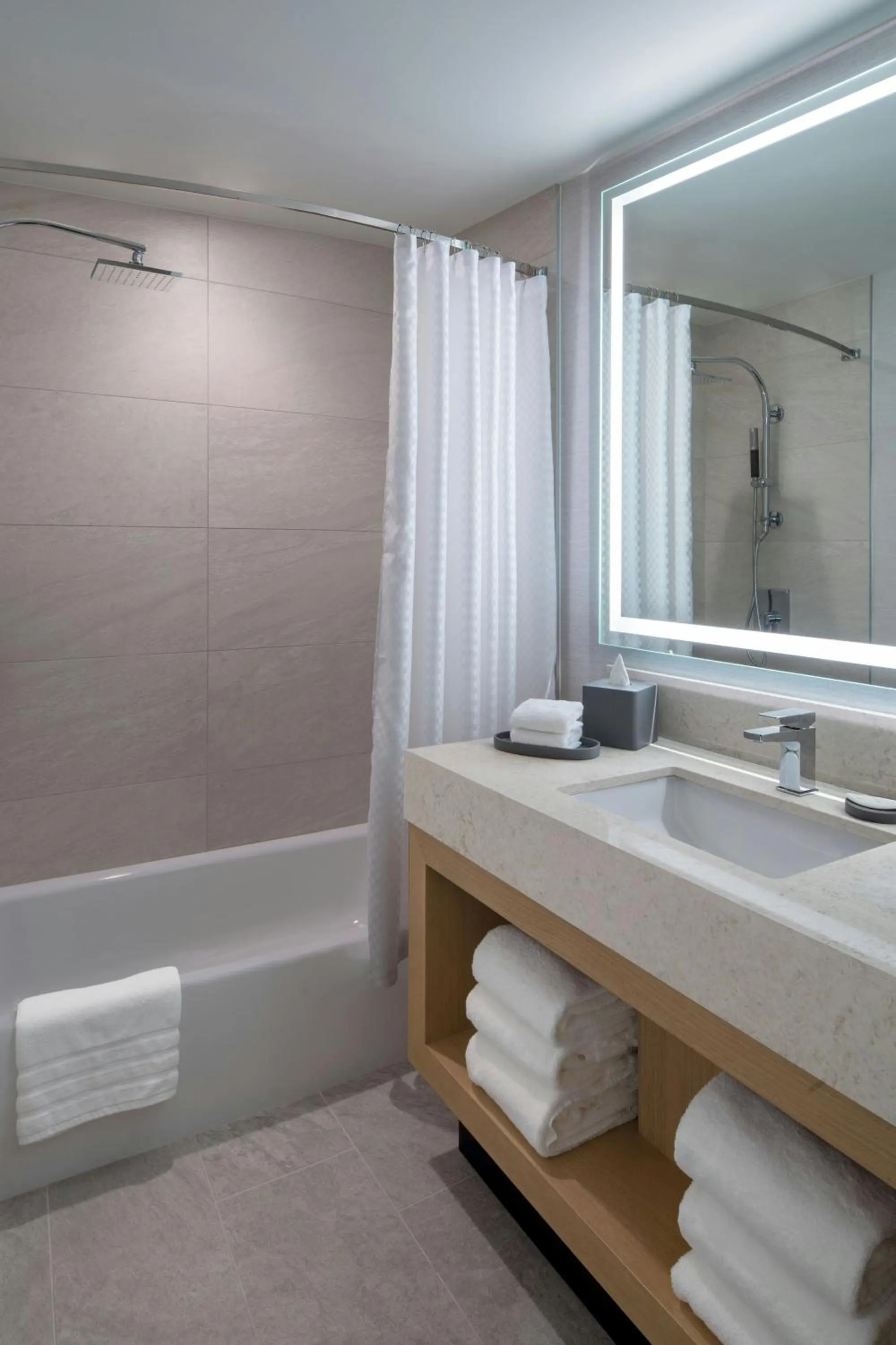 Bathroom in The Westin Houston Medical Center - Museum District