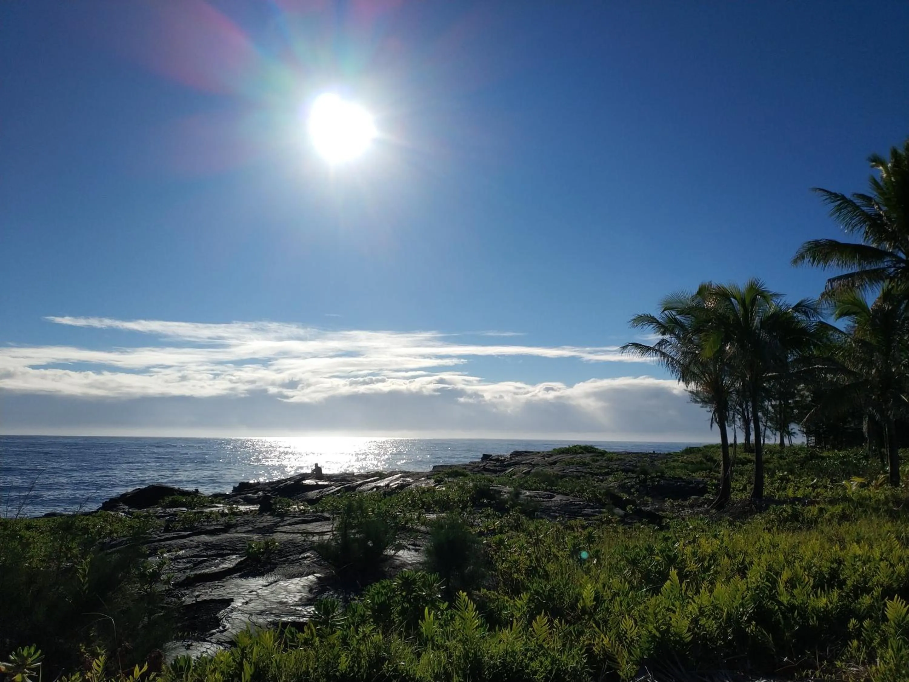 Natural landscape in Ocean Breeze Inn