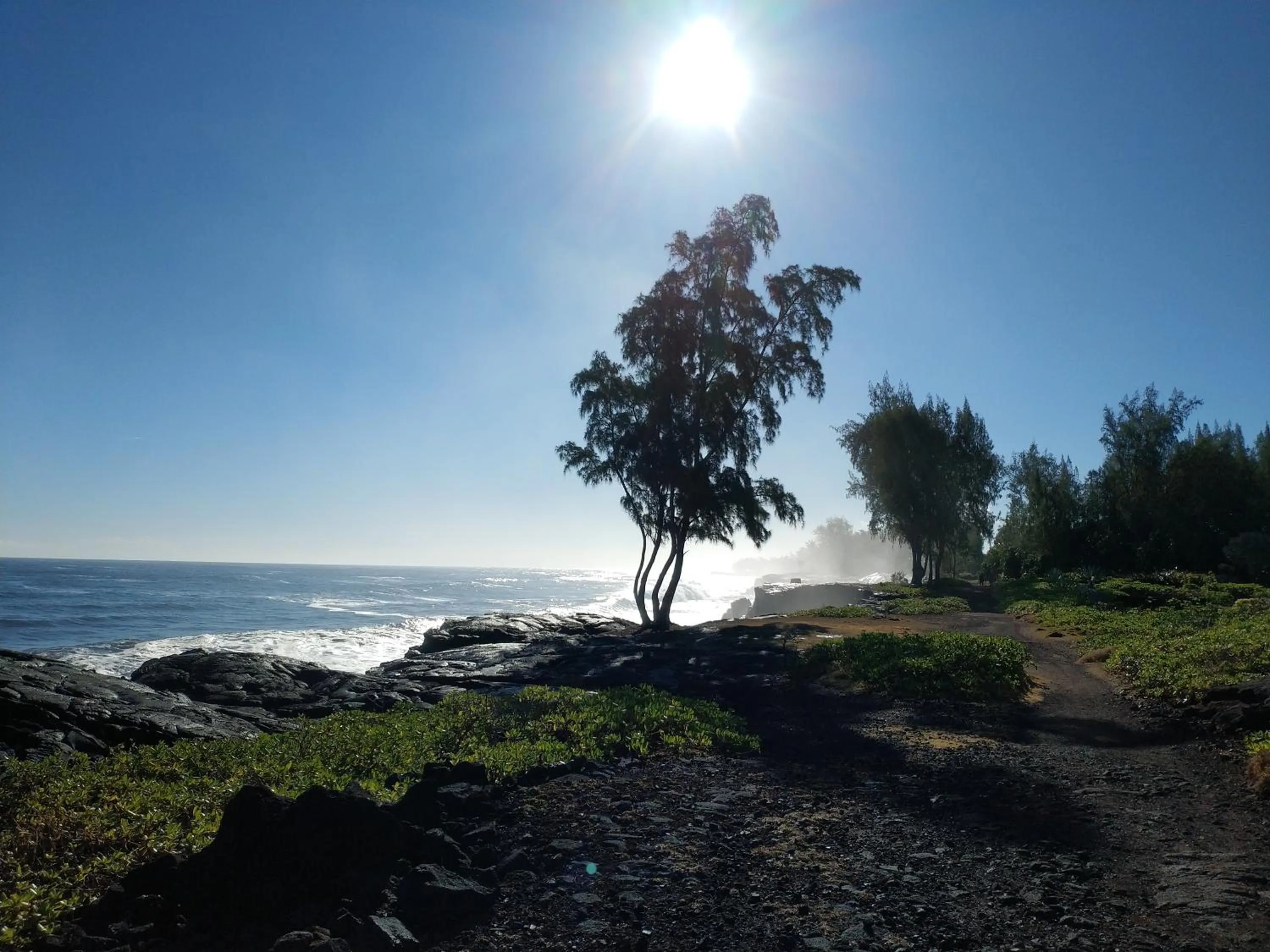 Natural landscape in Ocean Breeze Inn
