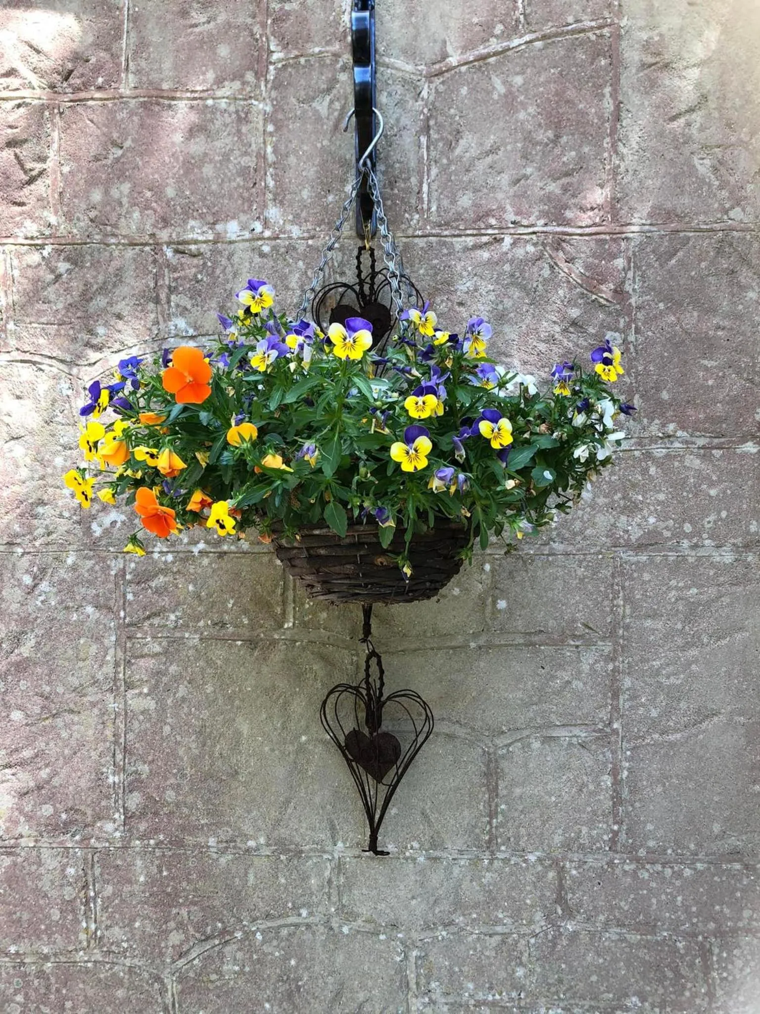 Garden in Enchanted Manor