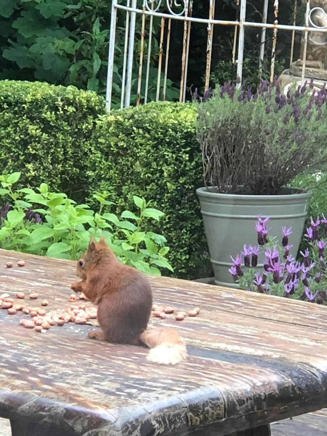 Activities in Enchanted Manor