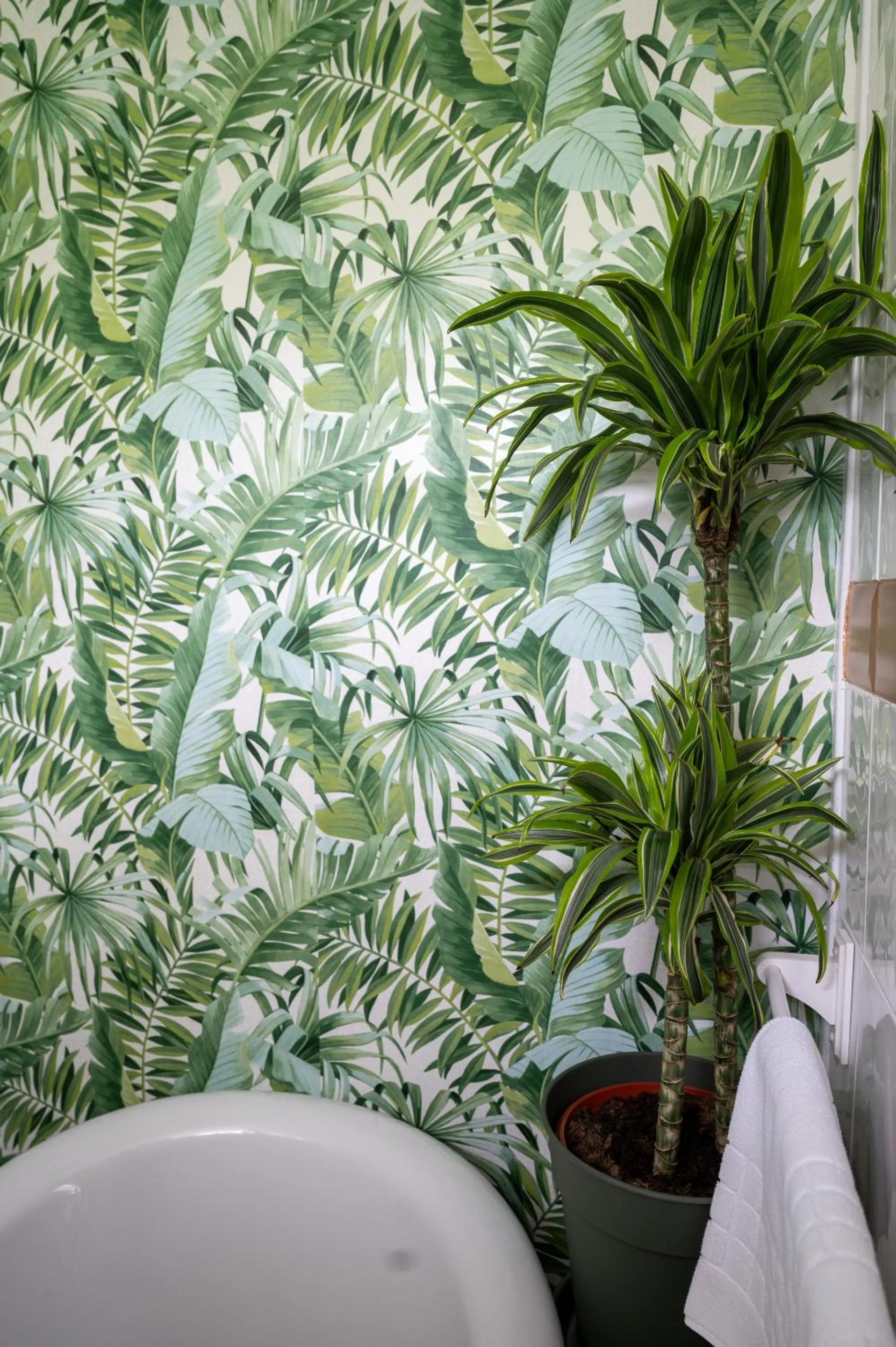 Bathroom in Enchanted Manor