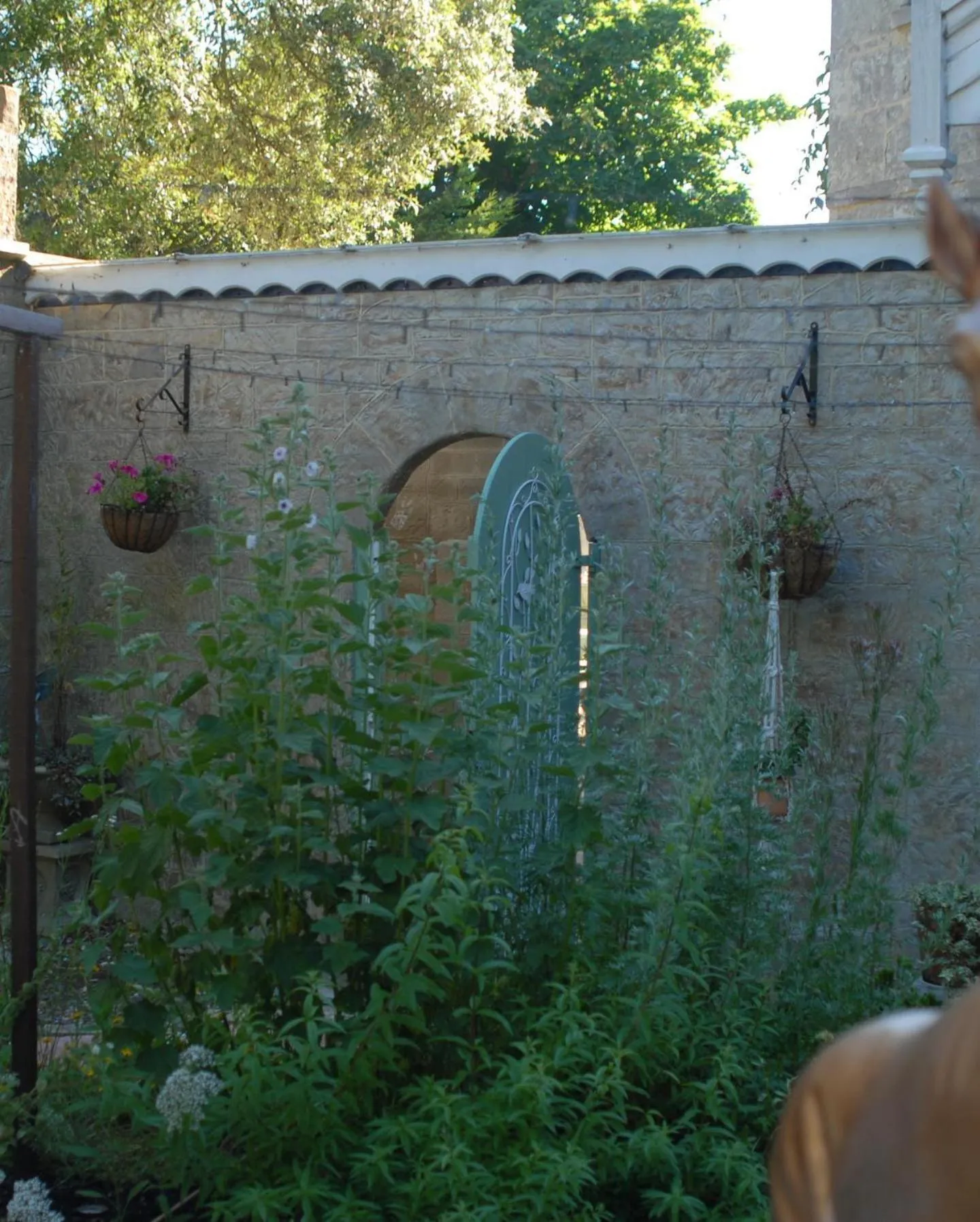 Garden in Enchanted Manor