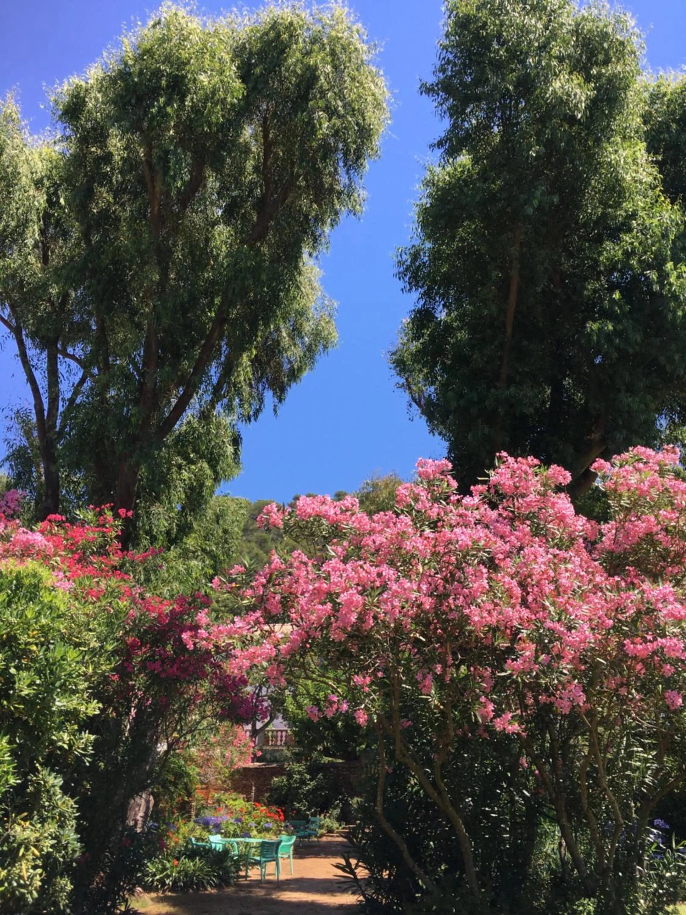 Le Manoir de Port-Cros