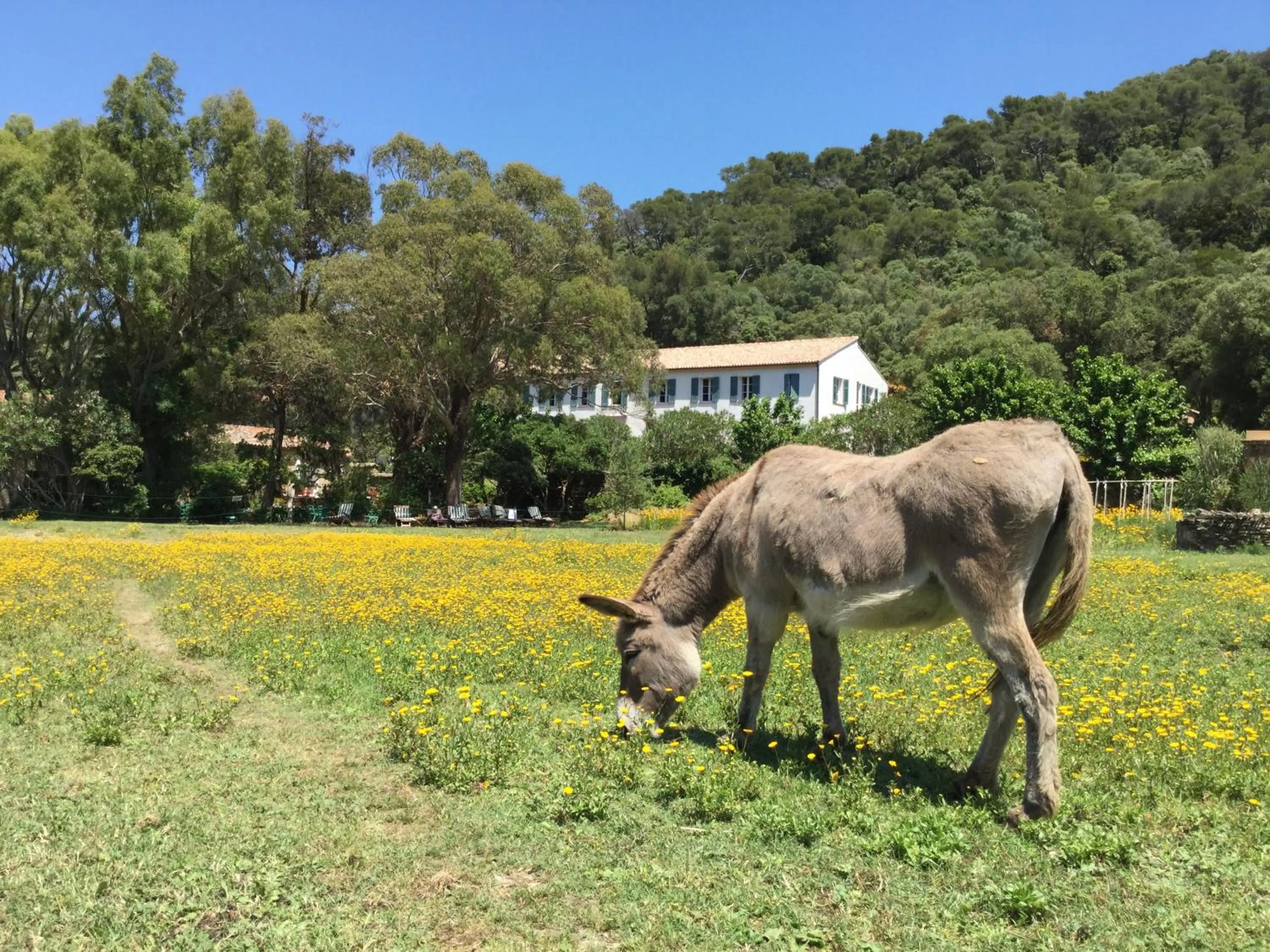 Day in Le Manoir de Port-Cros