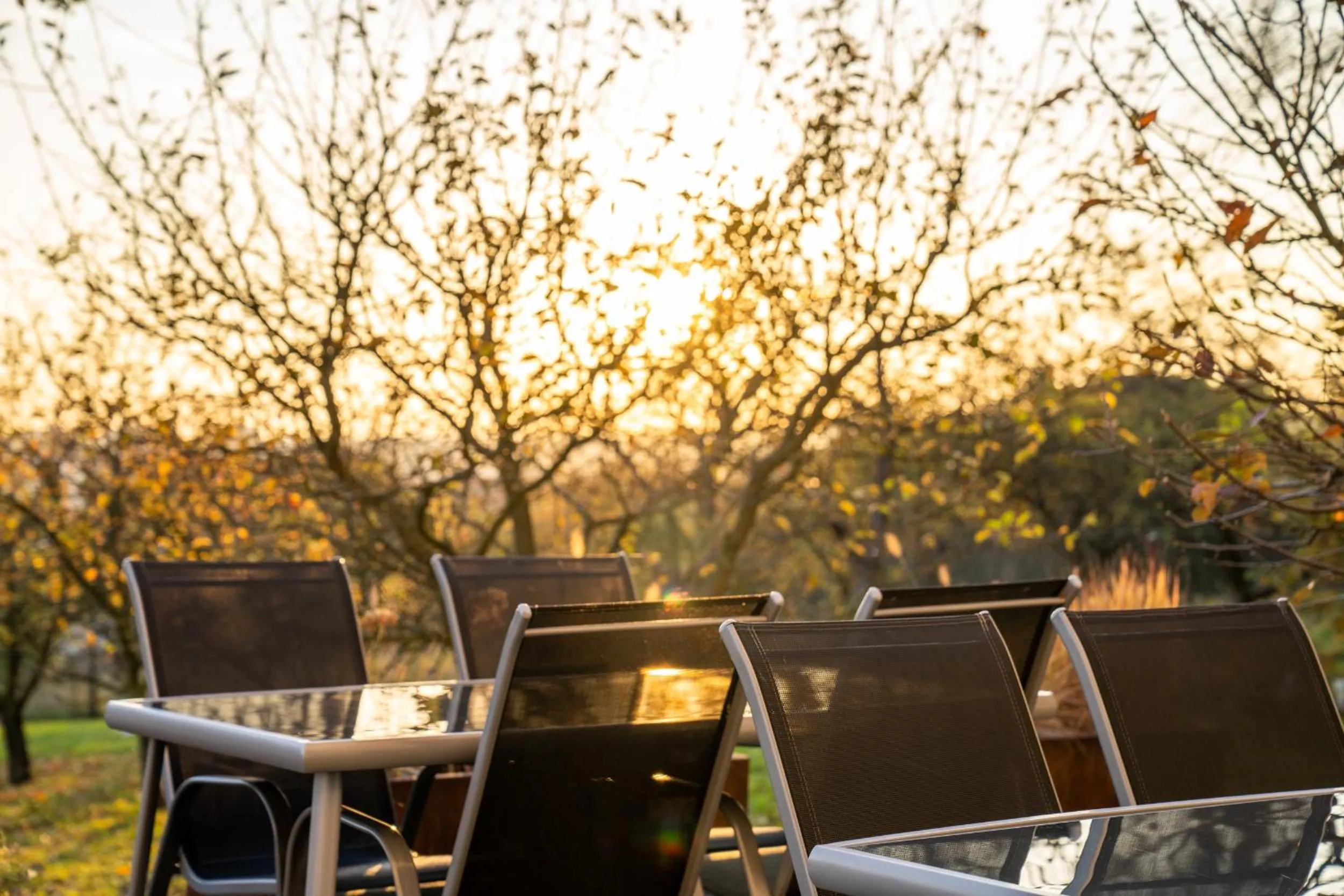 Natural landscape in Hotel Grunt