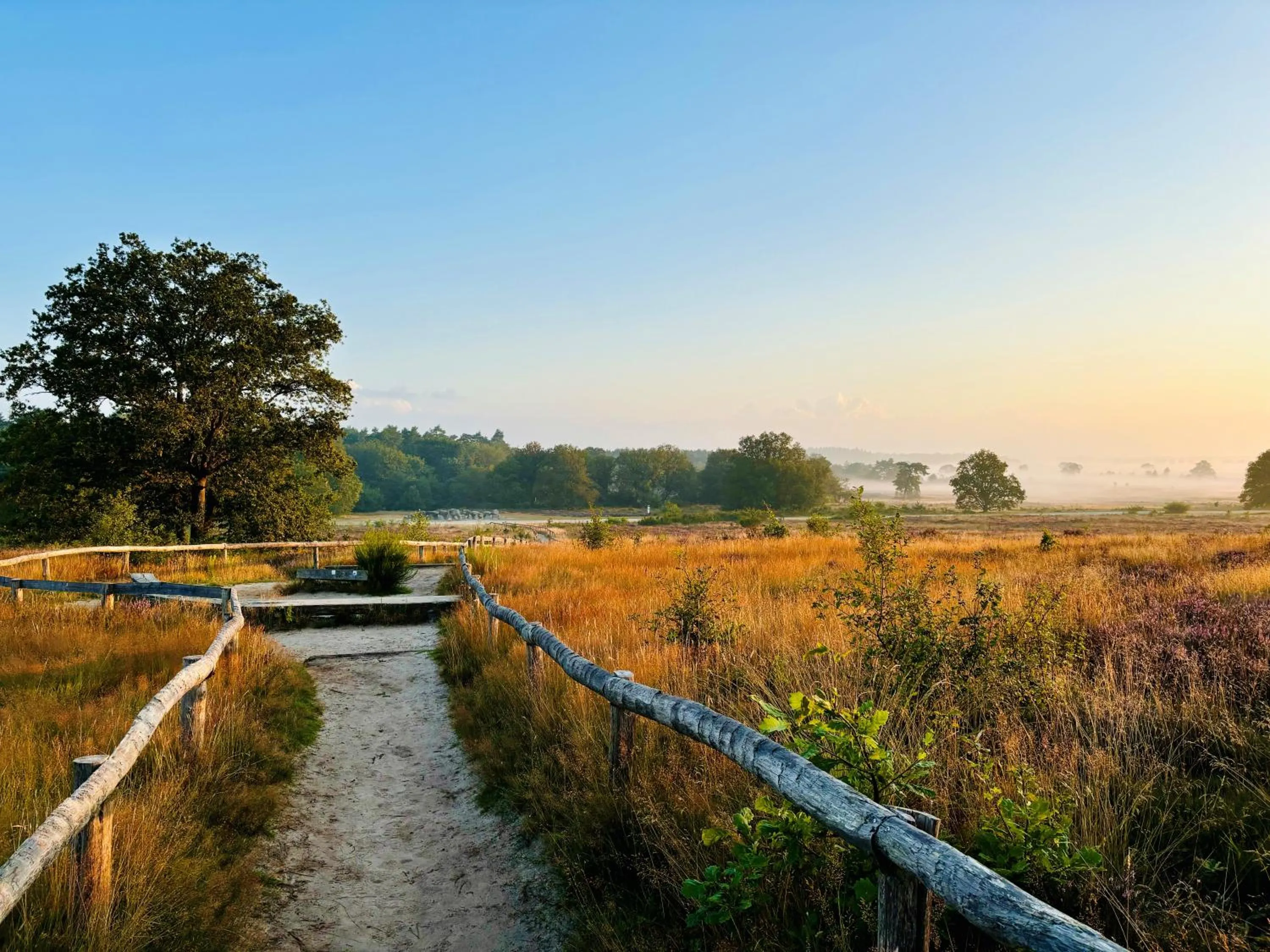 Natural landscape in De Veurdeale