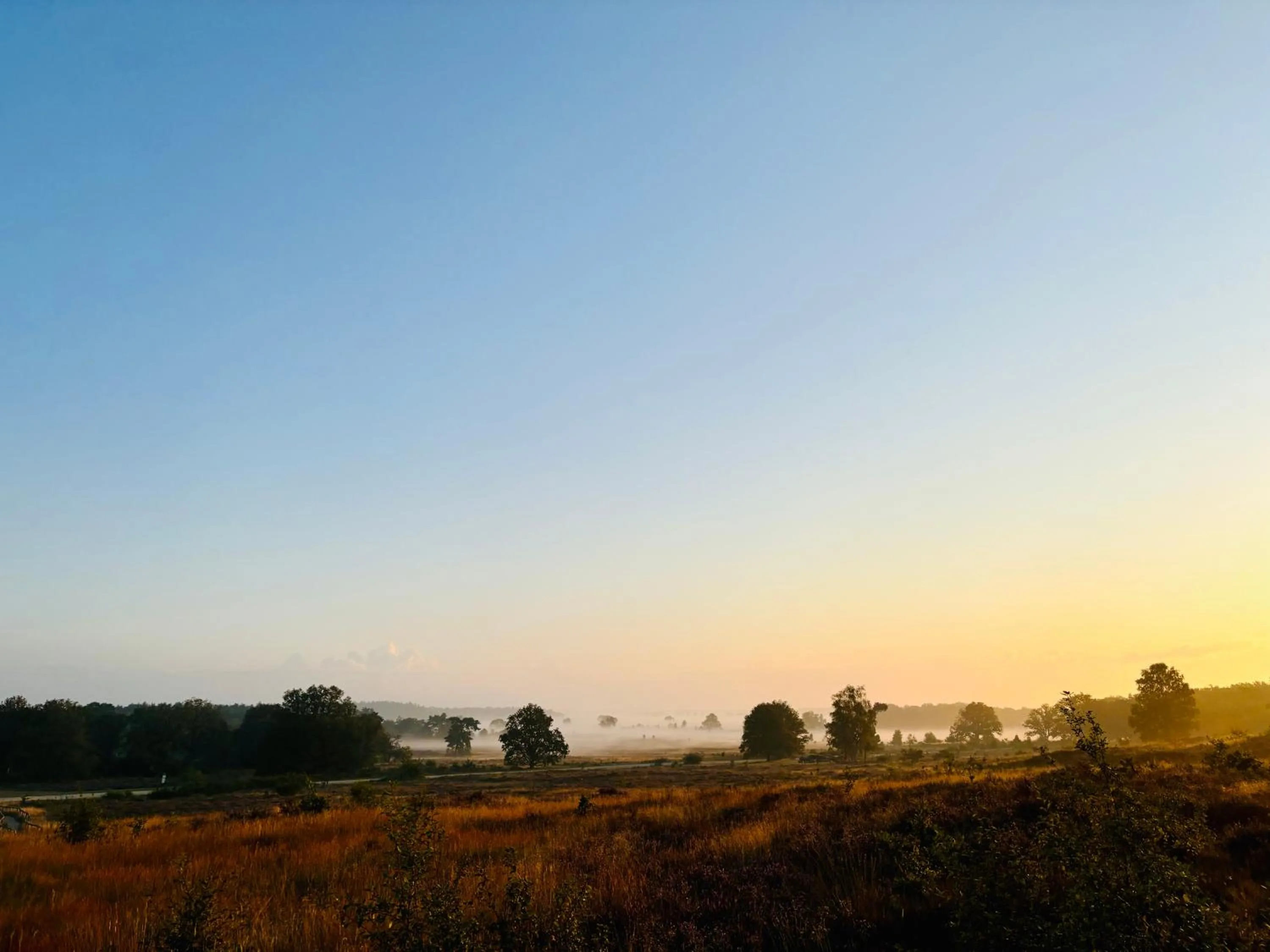 Natural landscape in De Veurdeale