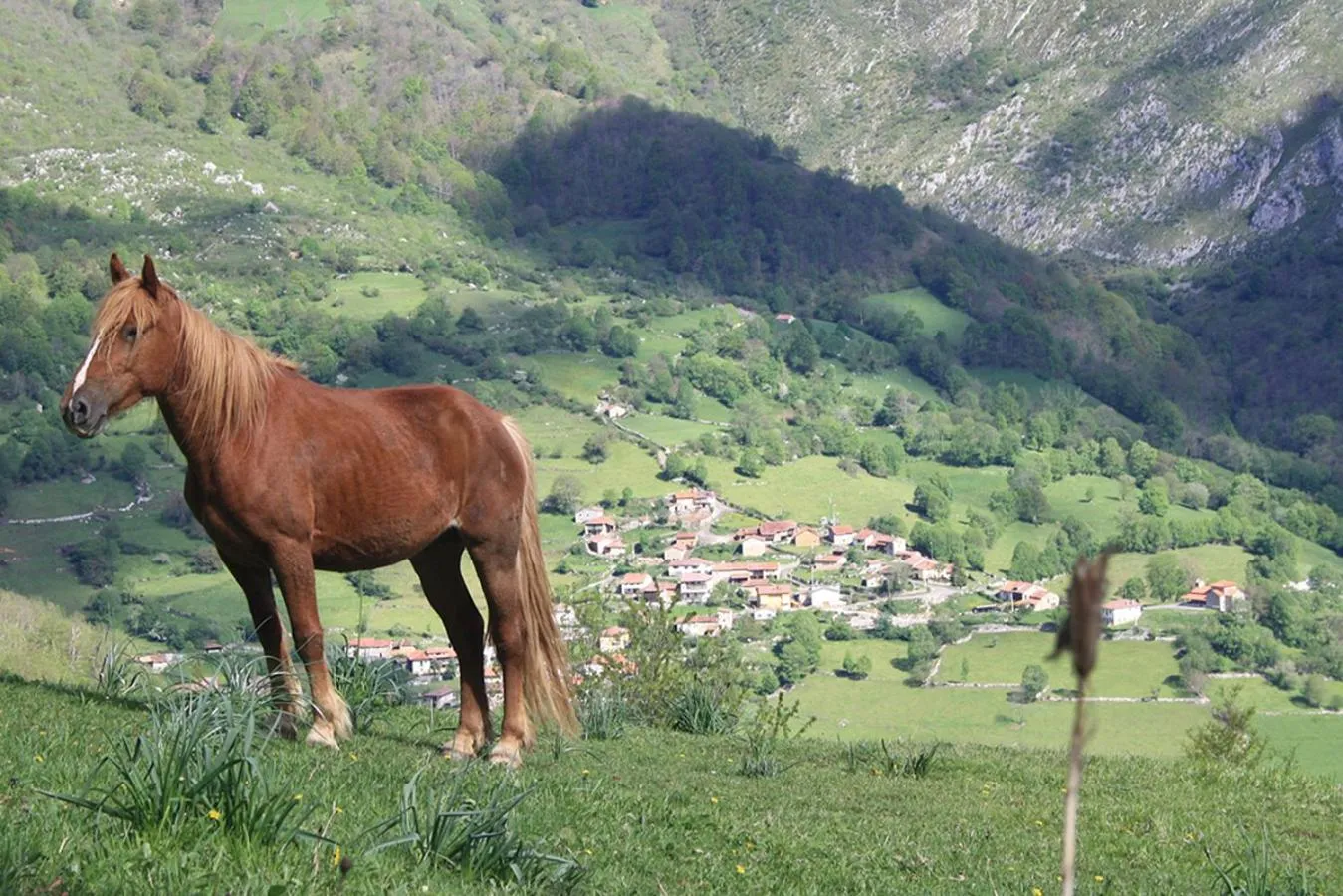 Natural landscape in Hotel Rural Llerau