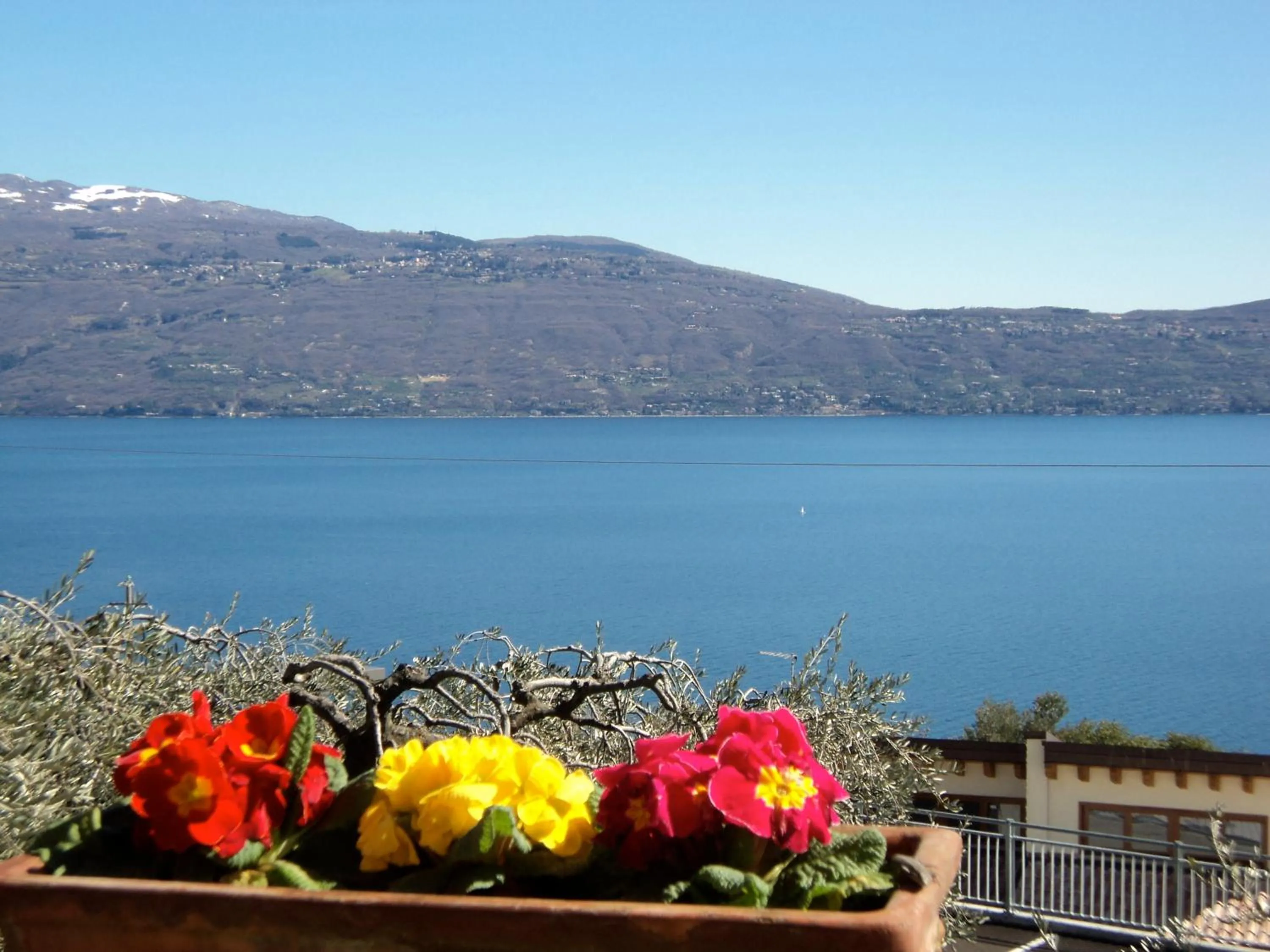 View (from property/room) in Bed & Breakfast Giardini di Corte