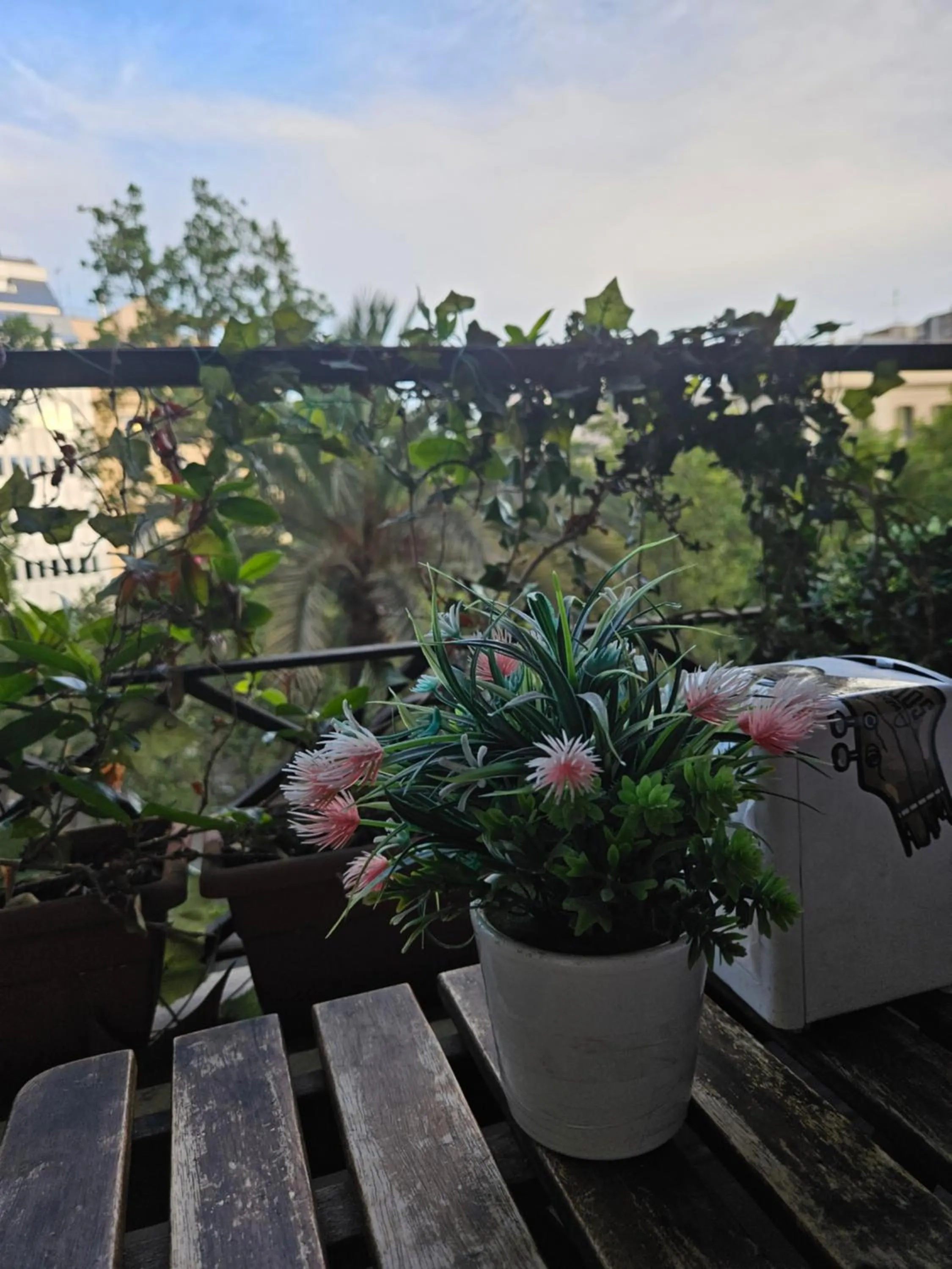 Wow Hostel Barcelona