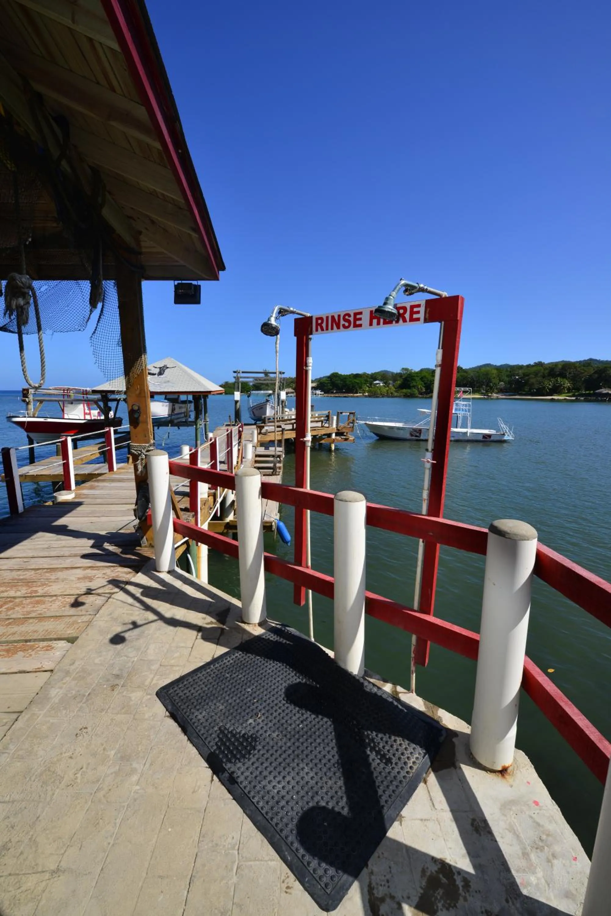 Diving in Seagrape Plantation Resort & Dive Center