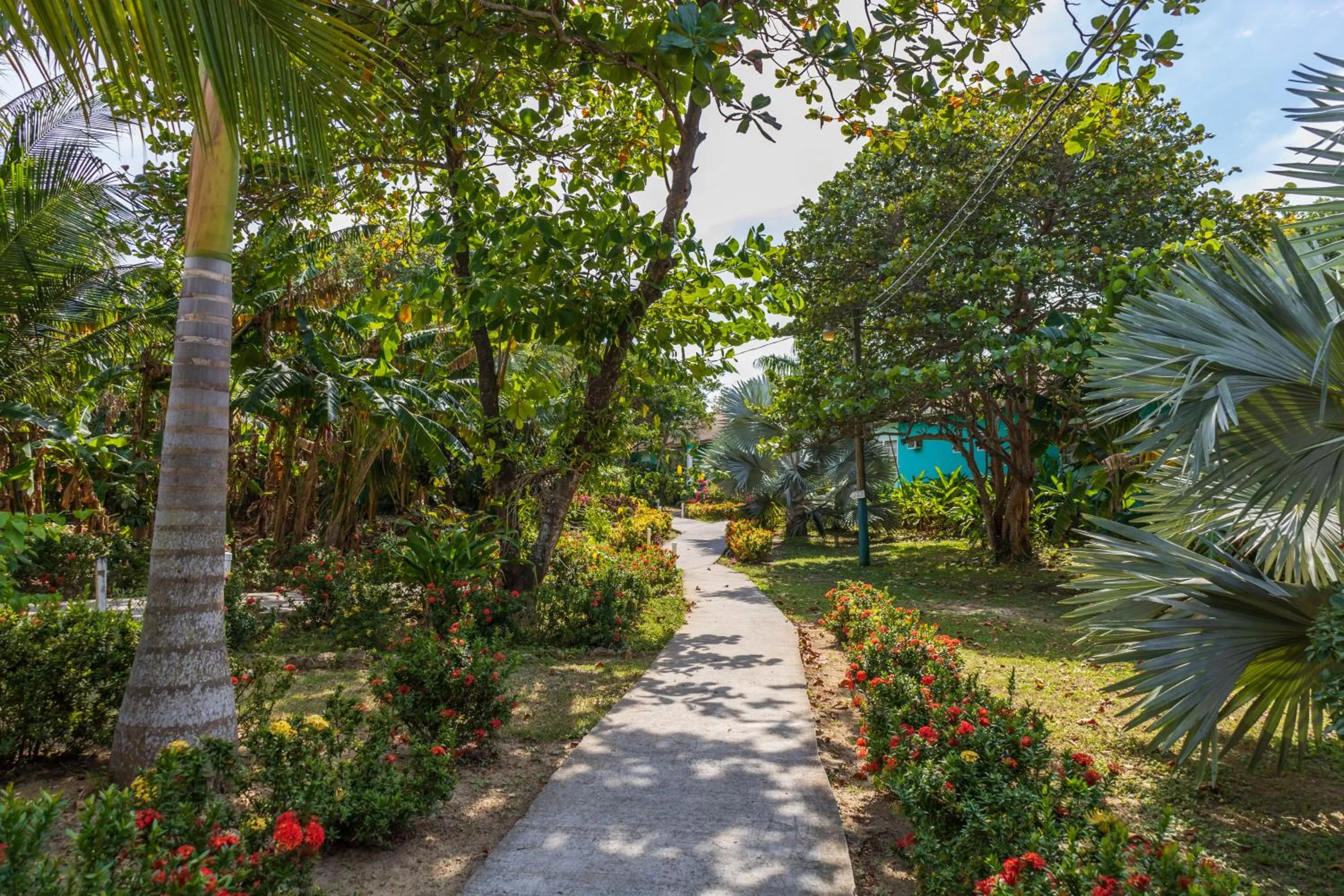 Garden in Seagrape Plantation Resort & Dive Center