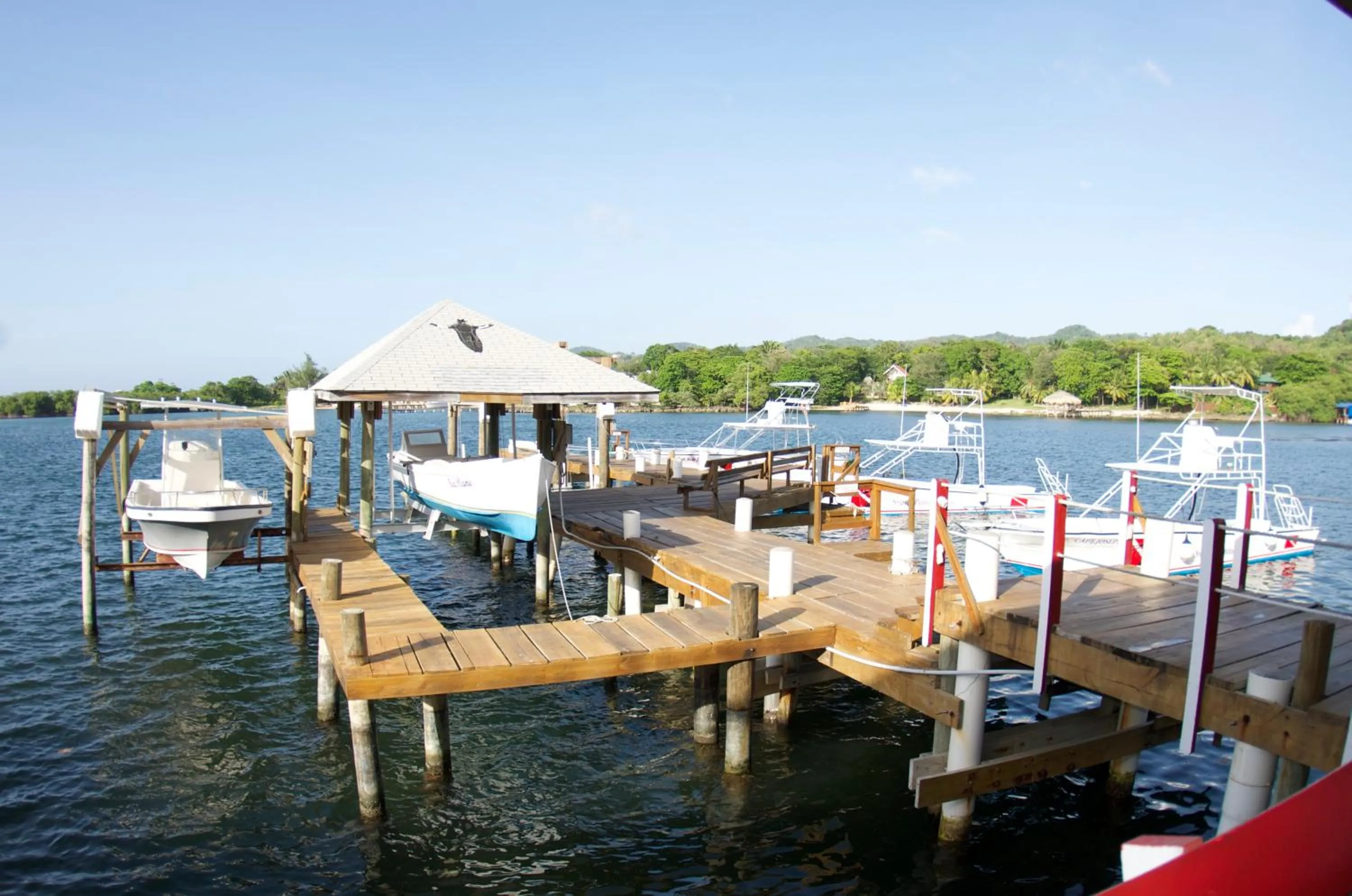 Diving in Seagrape Plantation Resort & Dive Center