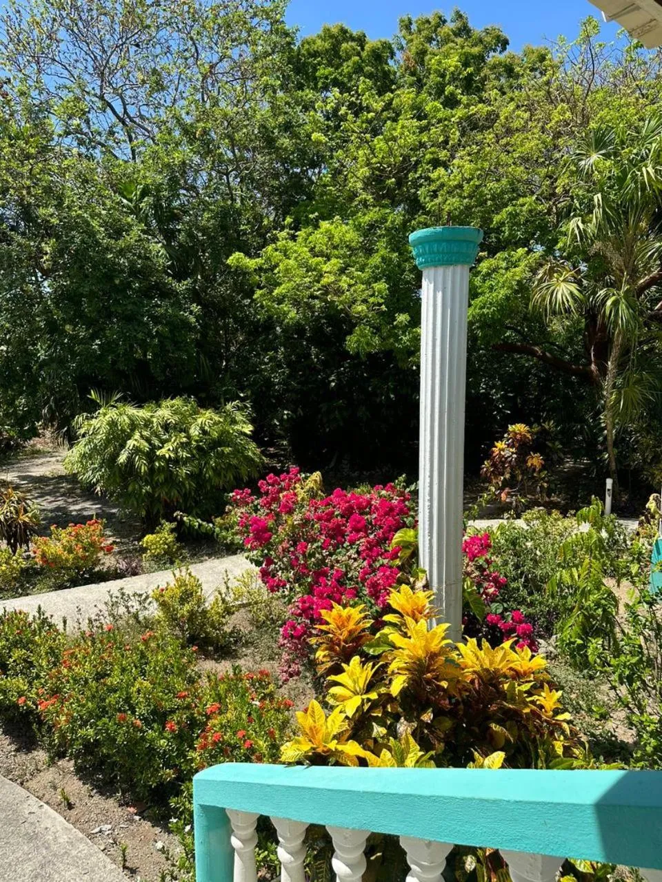 Seagrape Plantation Resort & Dive Center