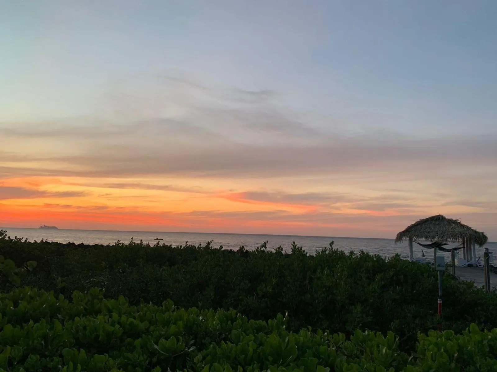 View (from property/room) in Seagrape Plantation Resort & Dive Center