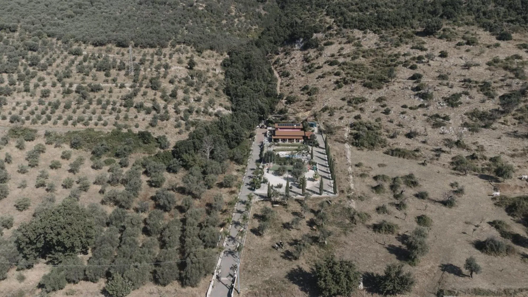 Natural landscape in b&b Tenuta San Felice