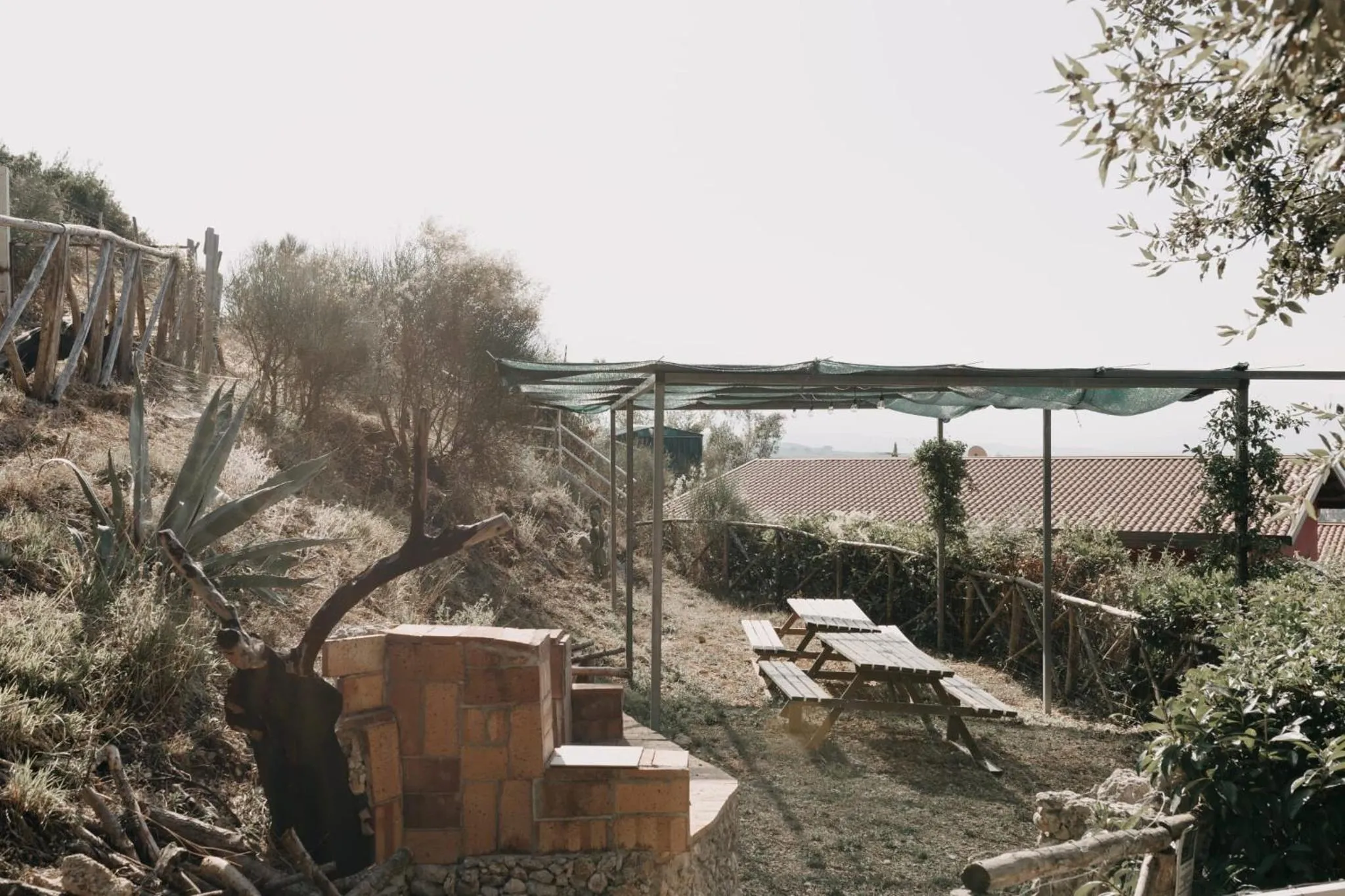 Natural landscape in b&b Tenuta San Felice