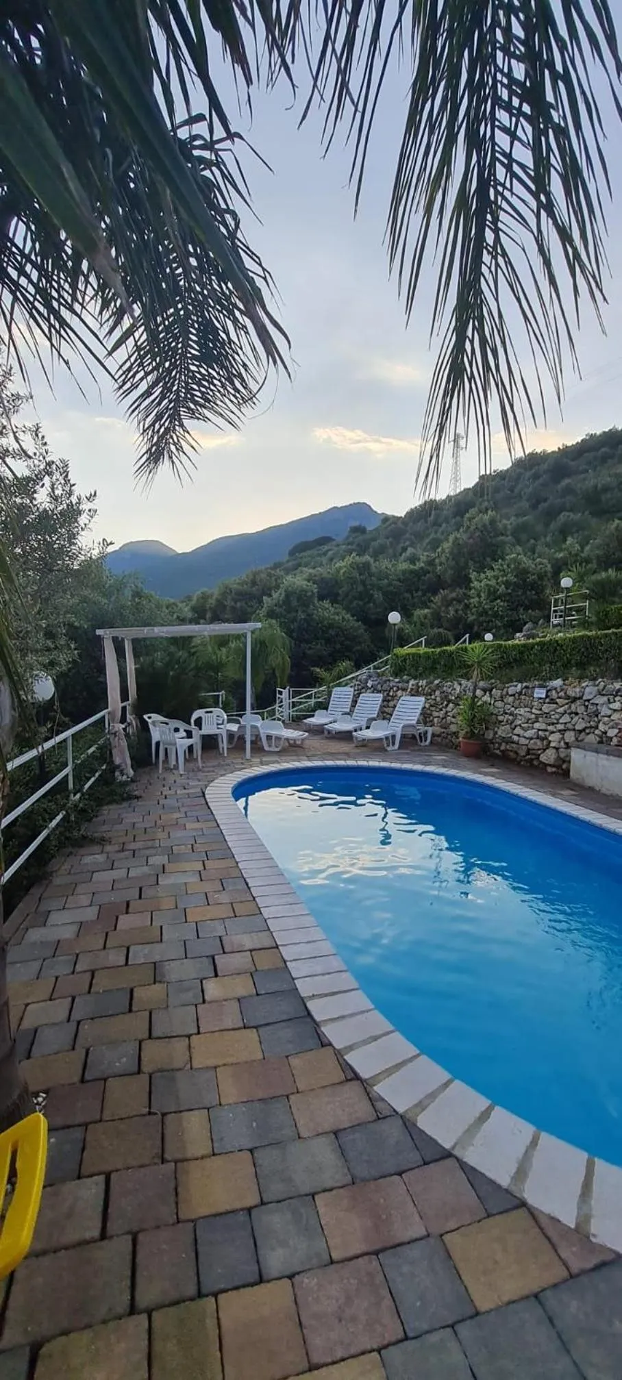 Pool view in b&b Tenuta San Felice