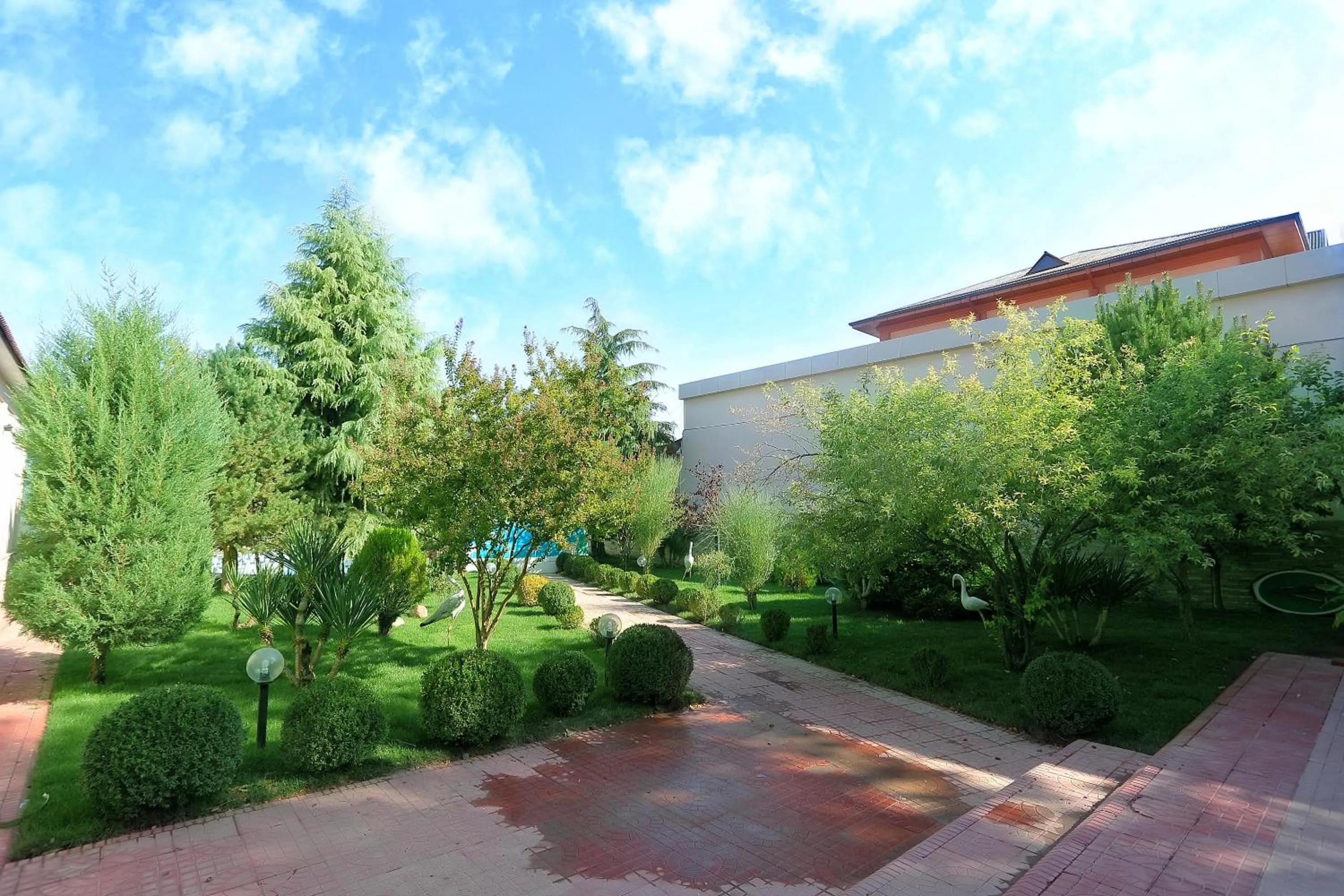 Garden in VIARDO Hotel