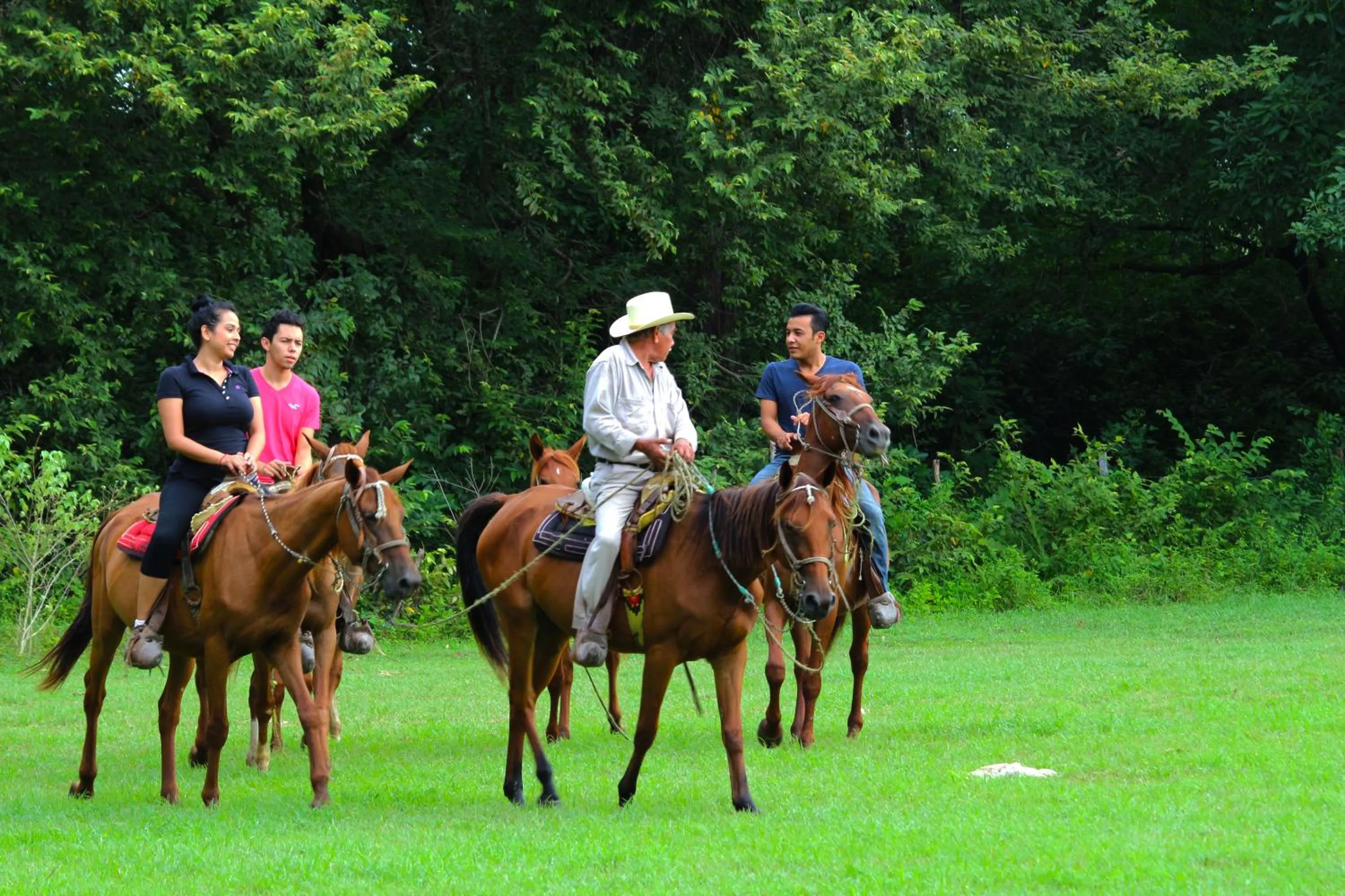 Horse-riding, Horseback Riding in Hotel SPA Taninul