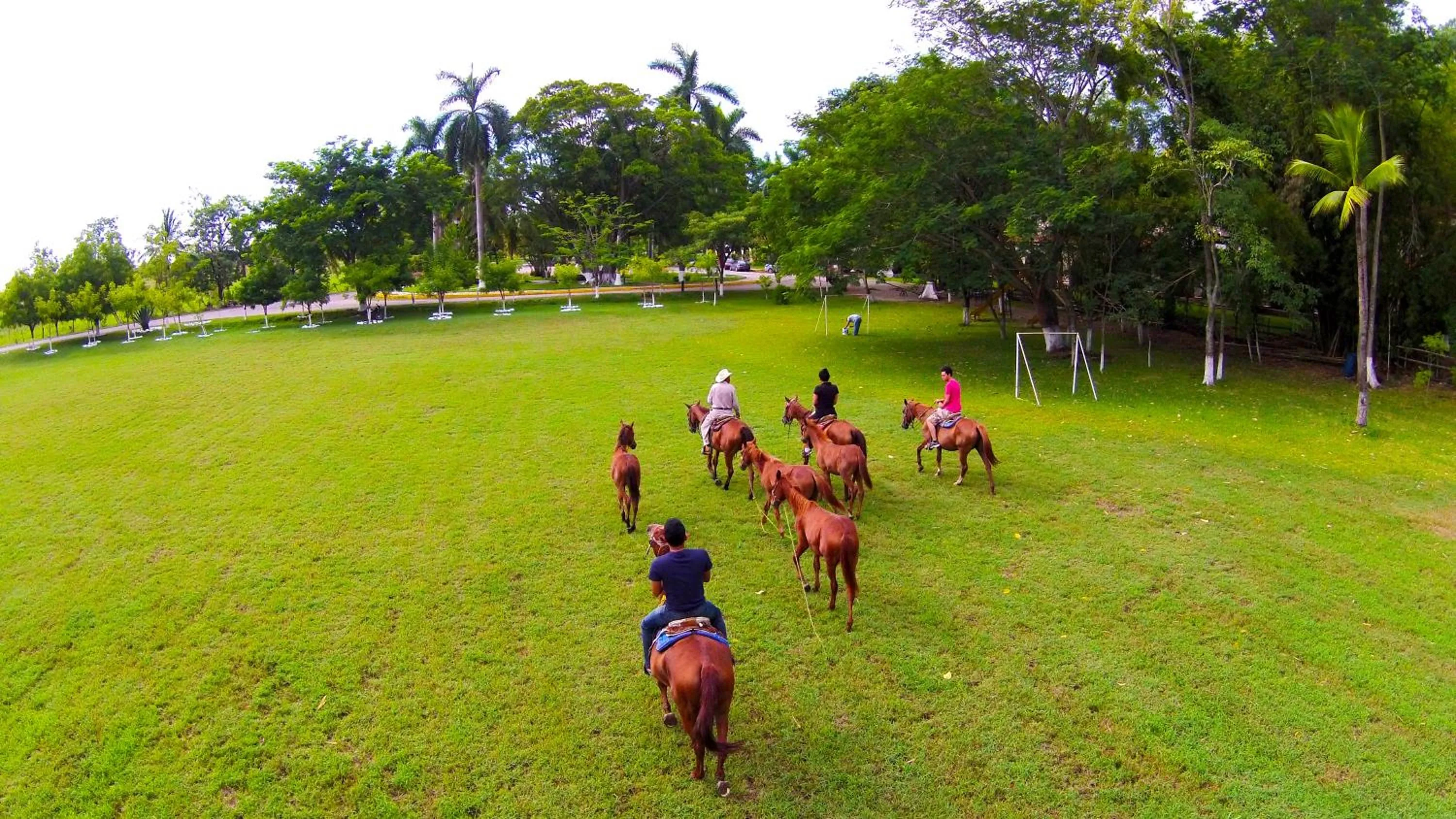 Horse-riding in Hotel SPA Taninul