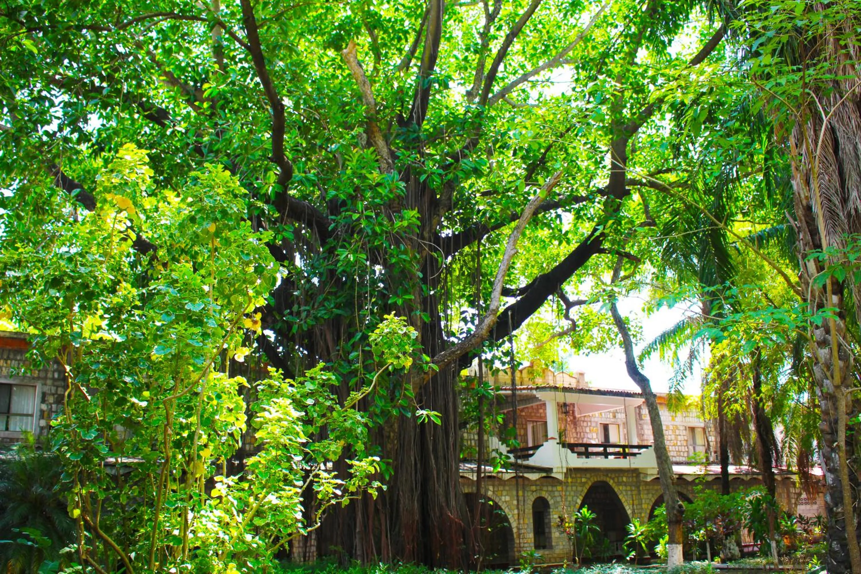 Other, Property Building in Hotel SPA Taninul