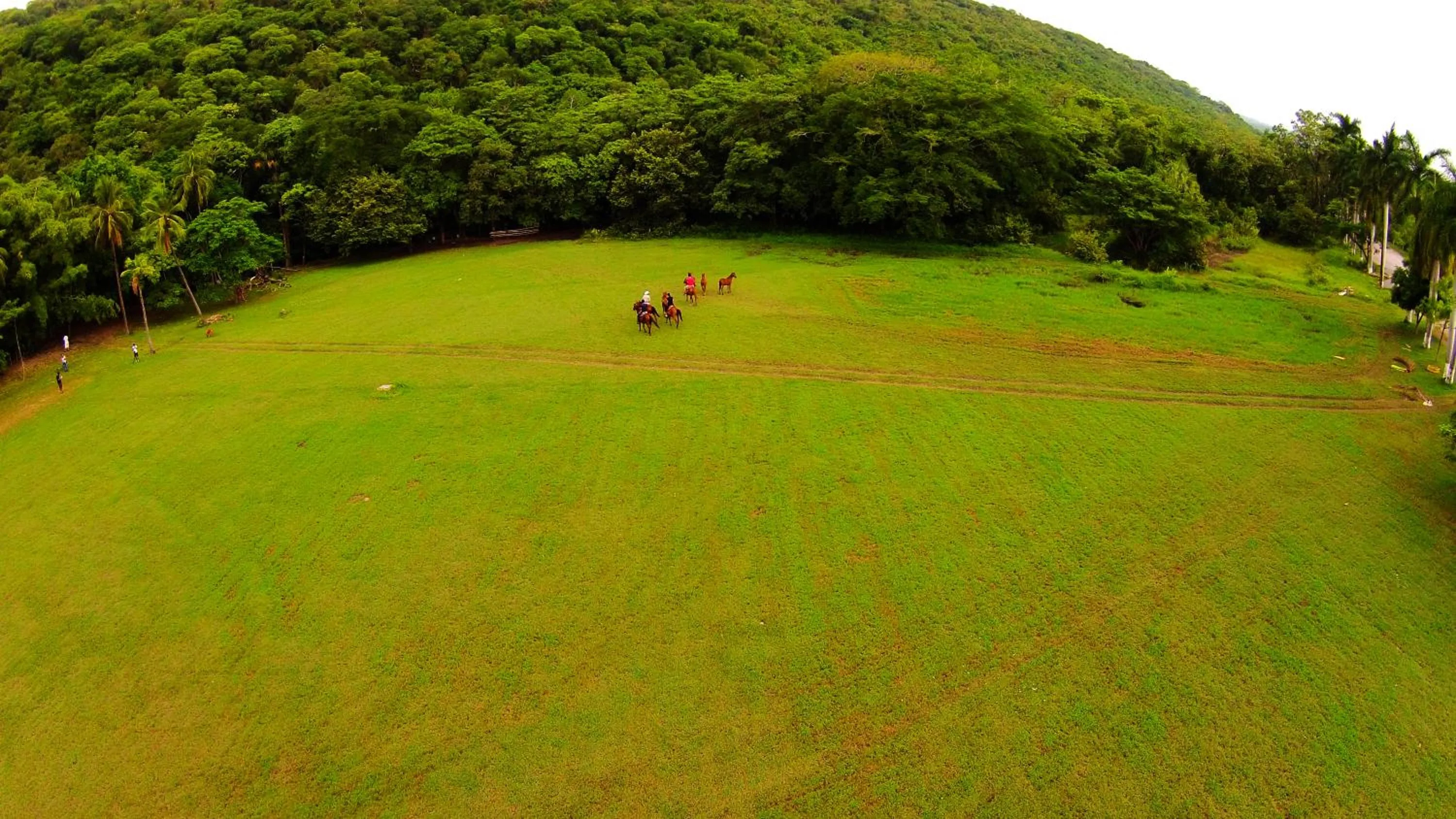 Bird's eye view, Golf in Hotel SPA Taninul