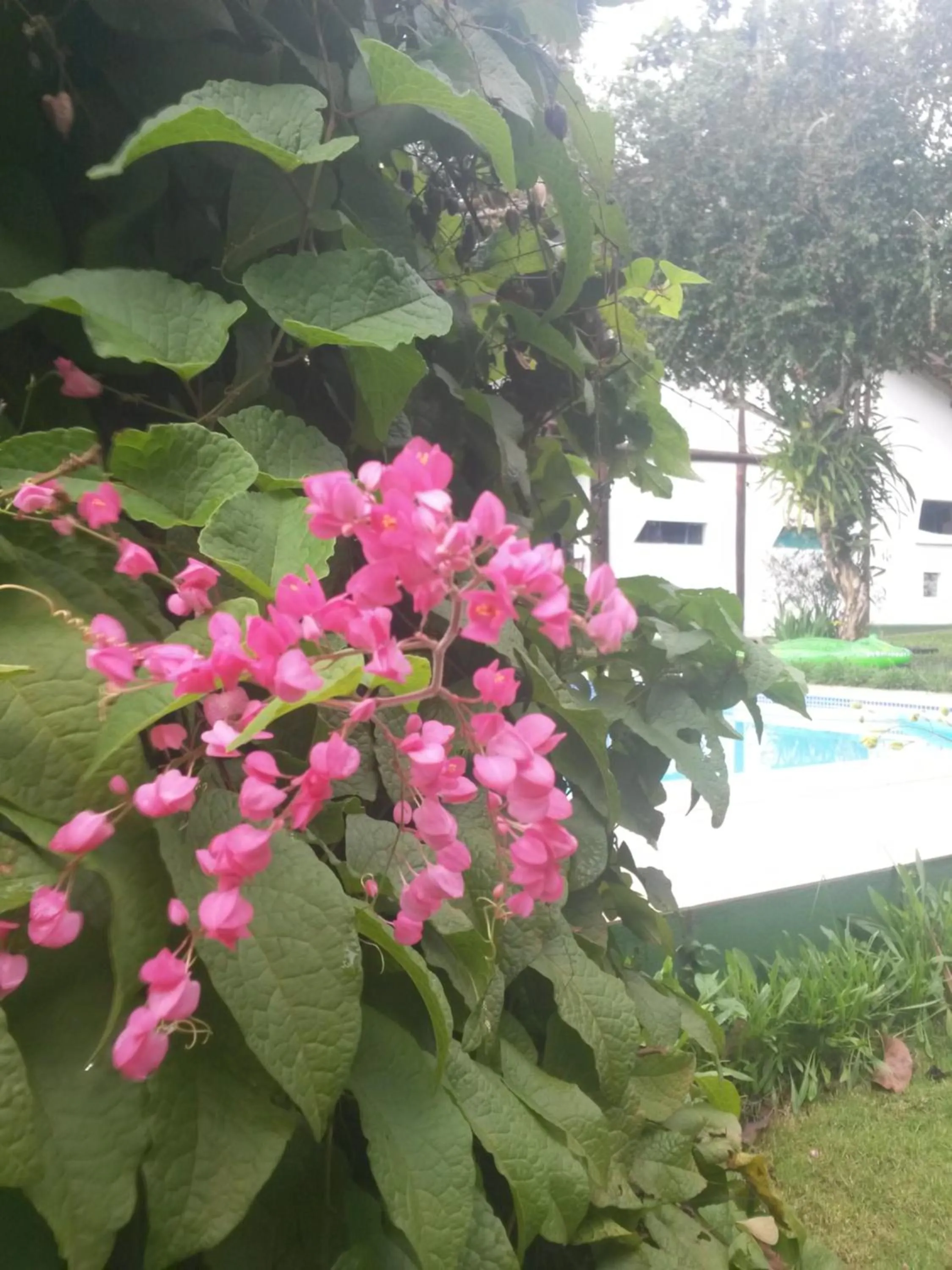 Activities in Pousada Mar à Vista