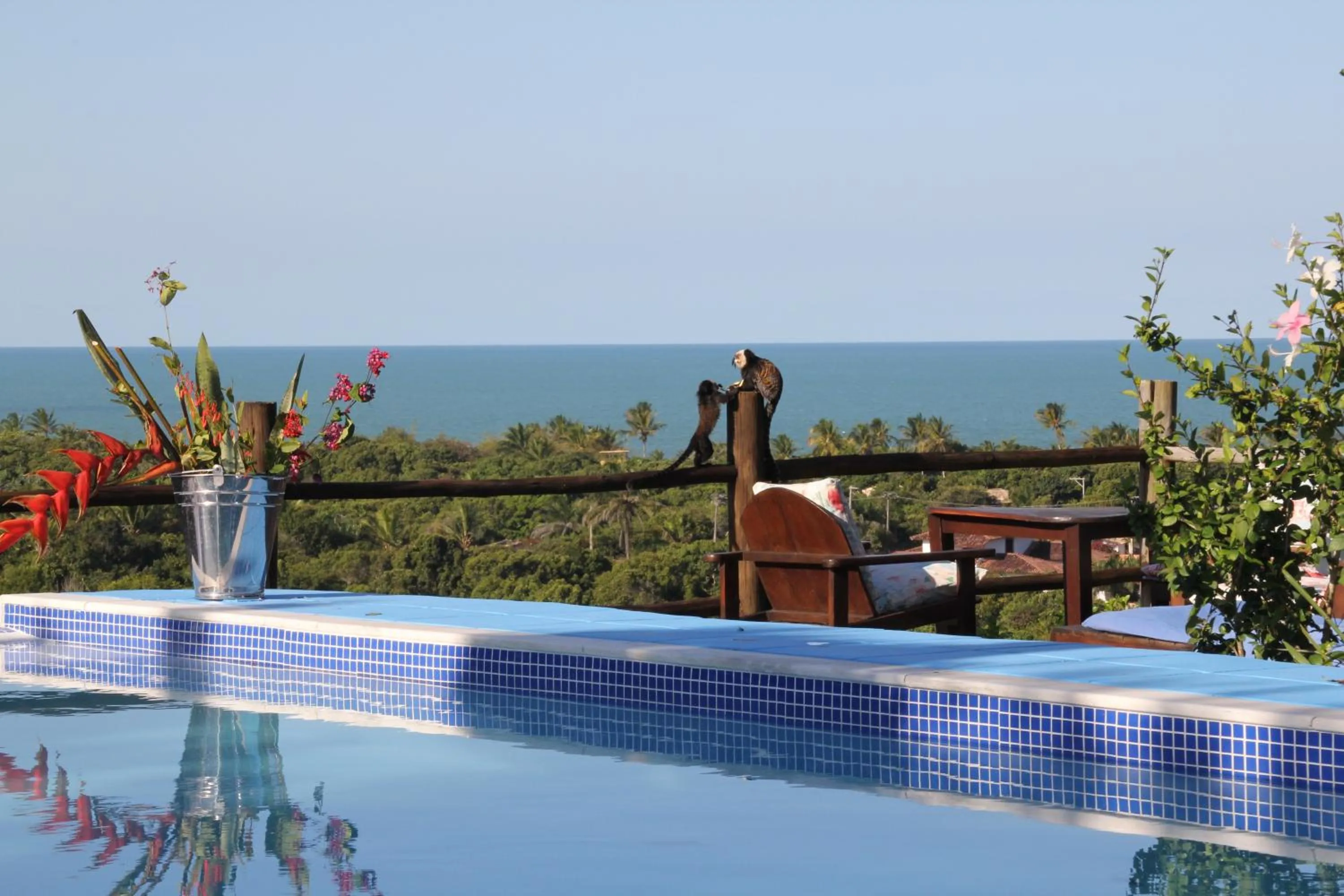 Garden in Pousada Mar à Vista