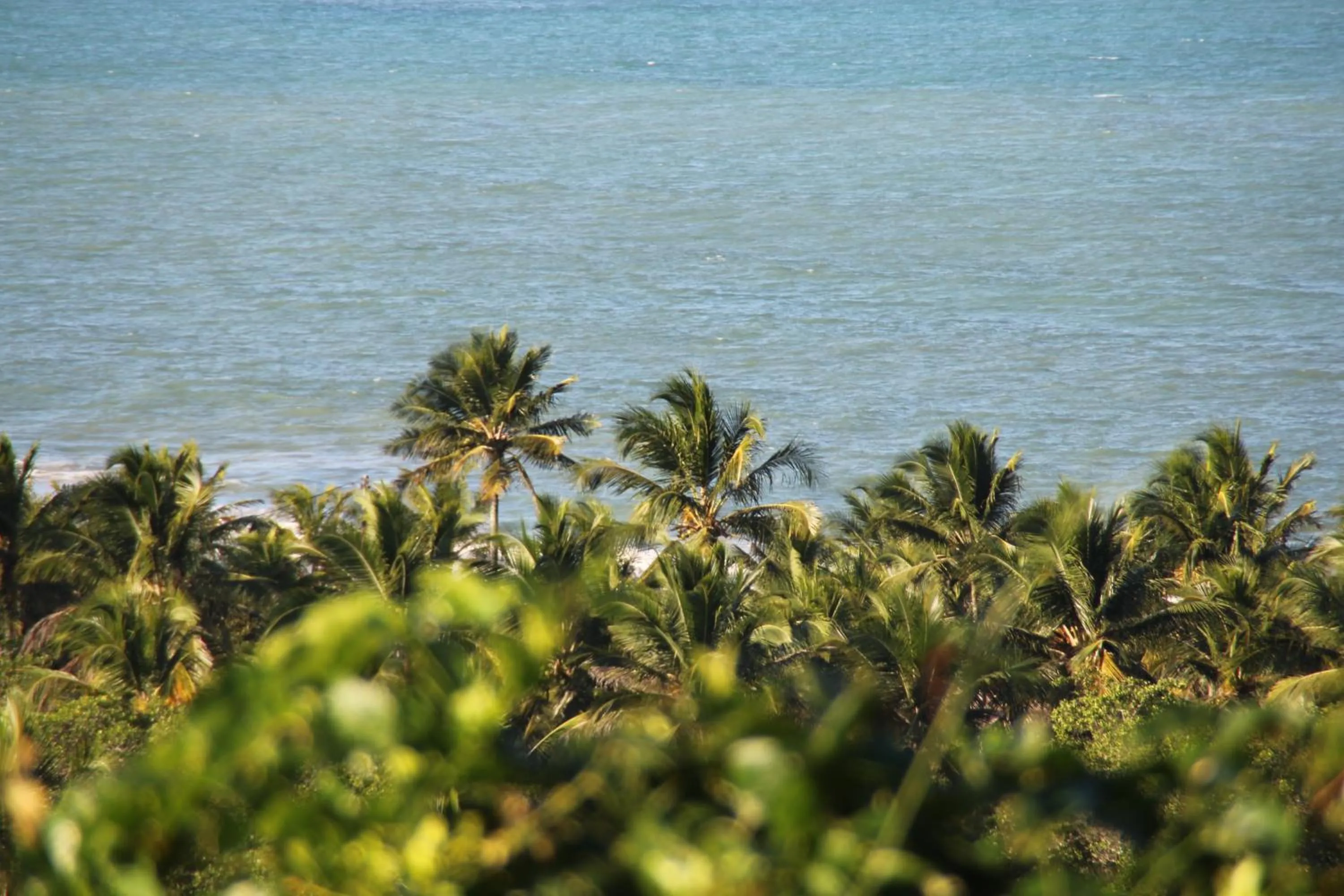 Beach in Pousada Mar à Vista