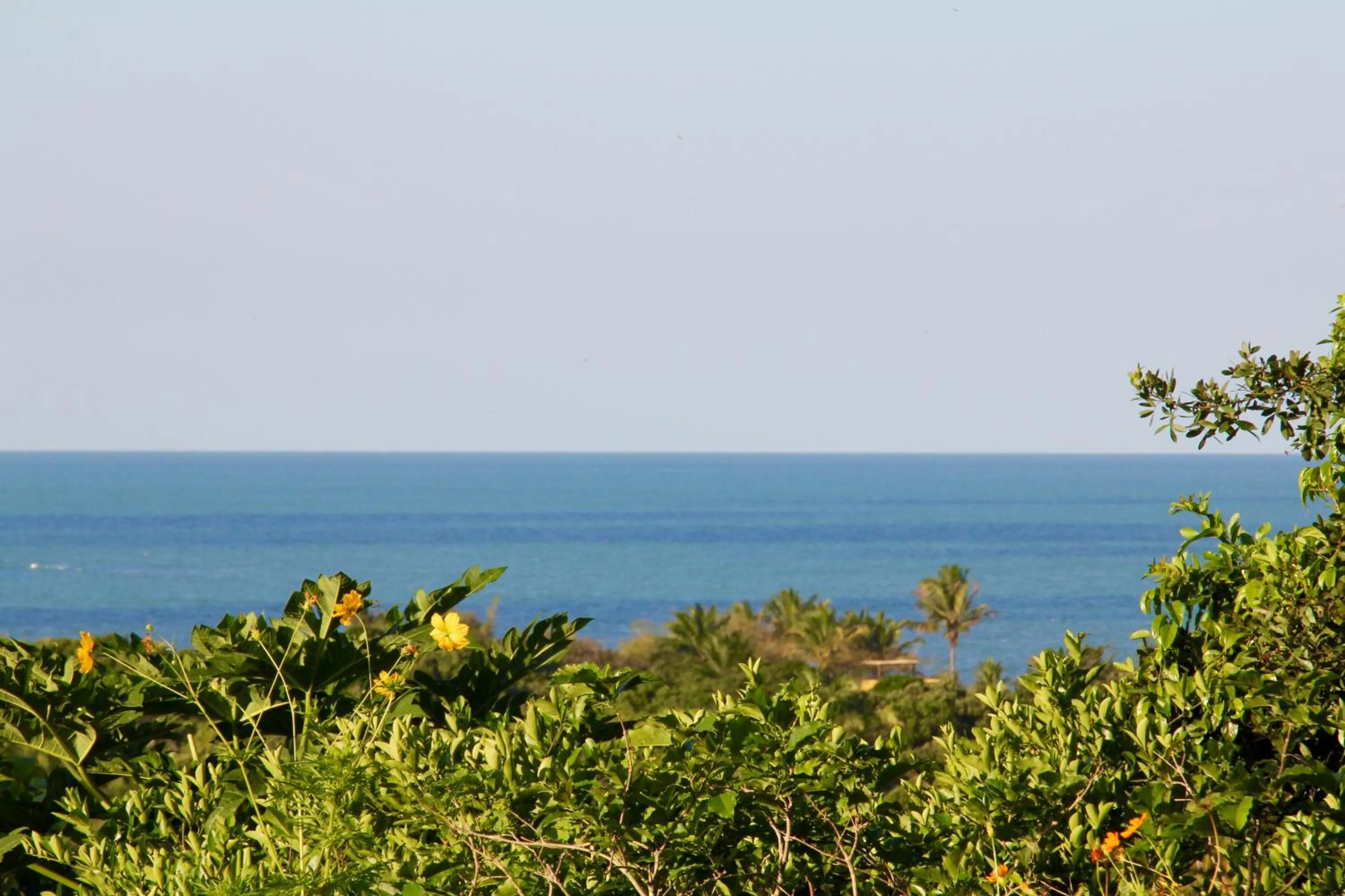 Sea view in Pousada Mar à Vista