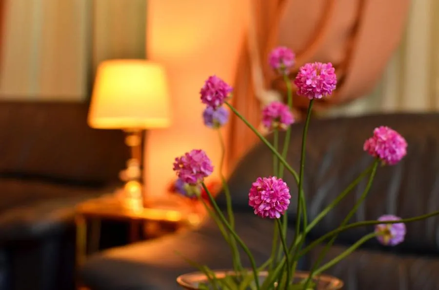 Decorative detail in Olympic Hotel