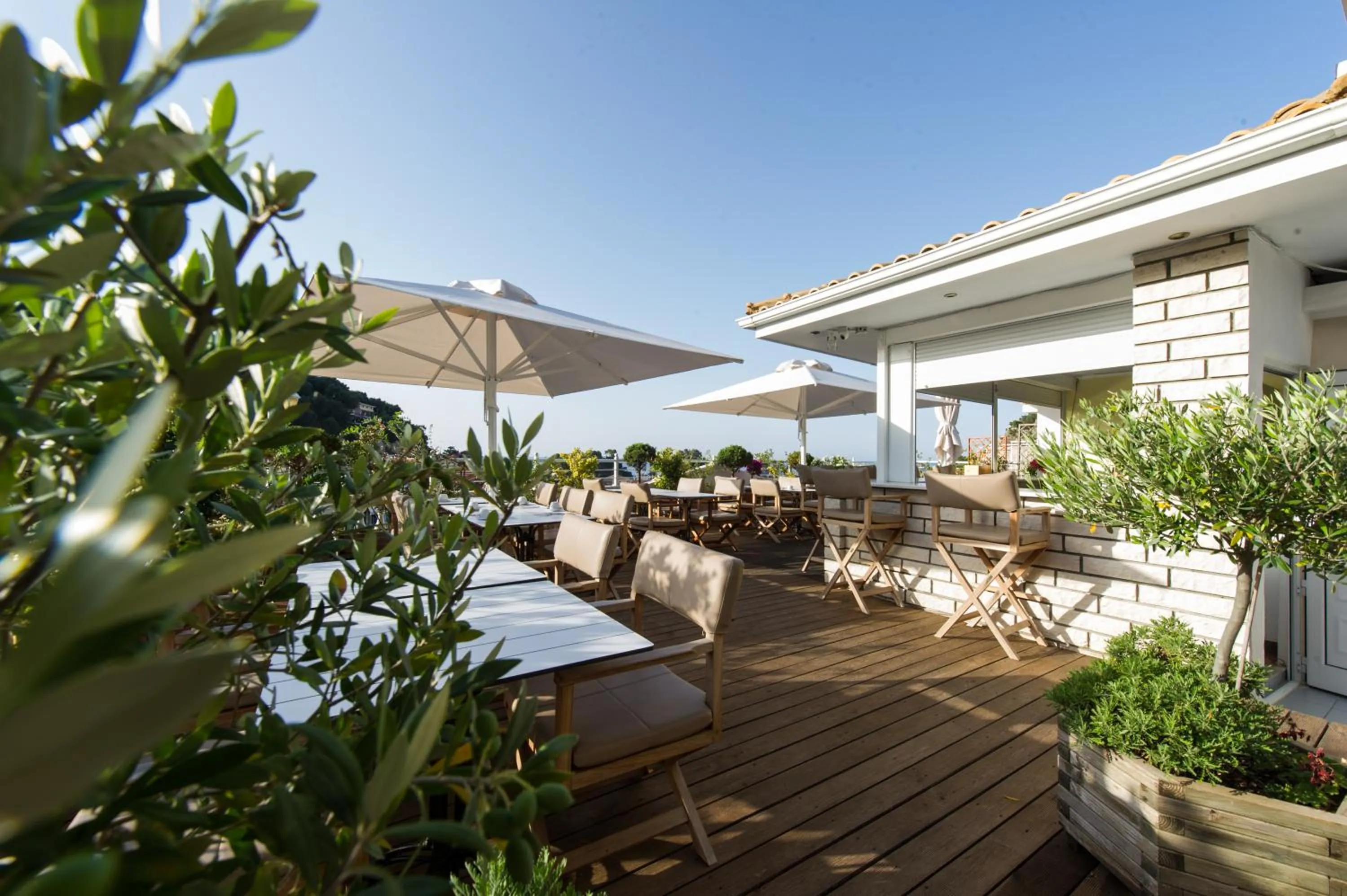 Restaurant/places to eat in Olympic Hotel