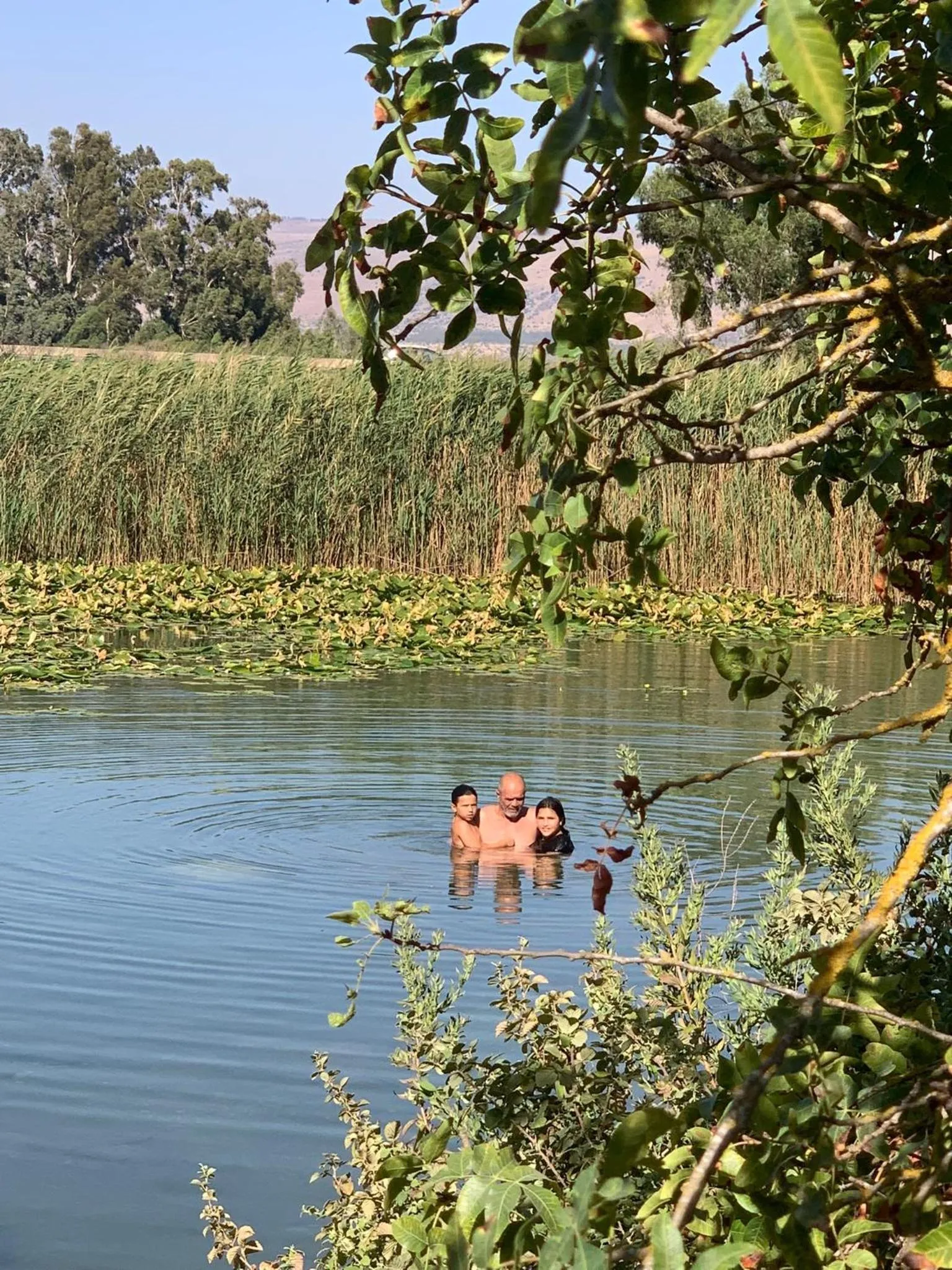Natural landscape in Vibe Naftali Estate