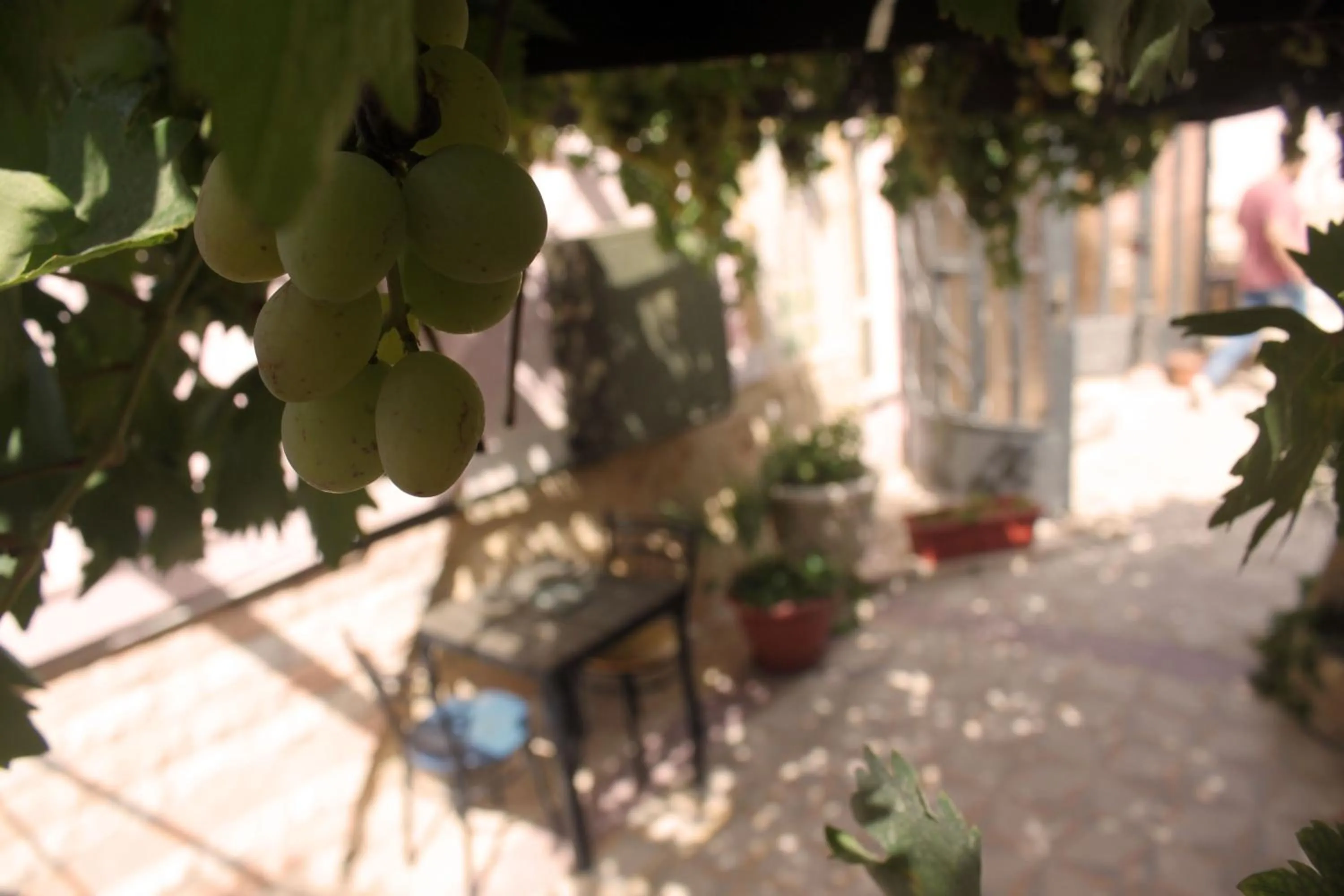 Property building in Cairwan Hotel