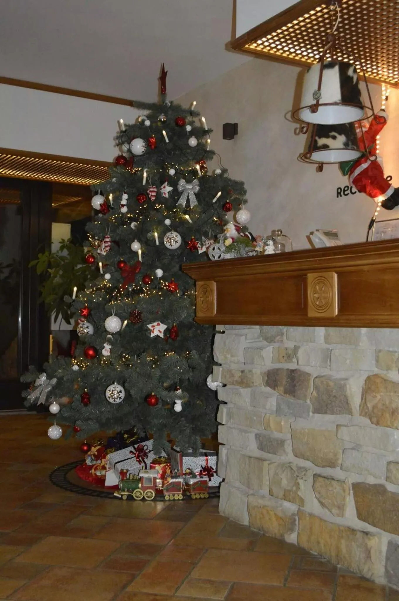 Lobby or reception in Domeniul Dornei