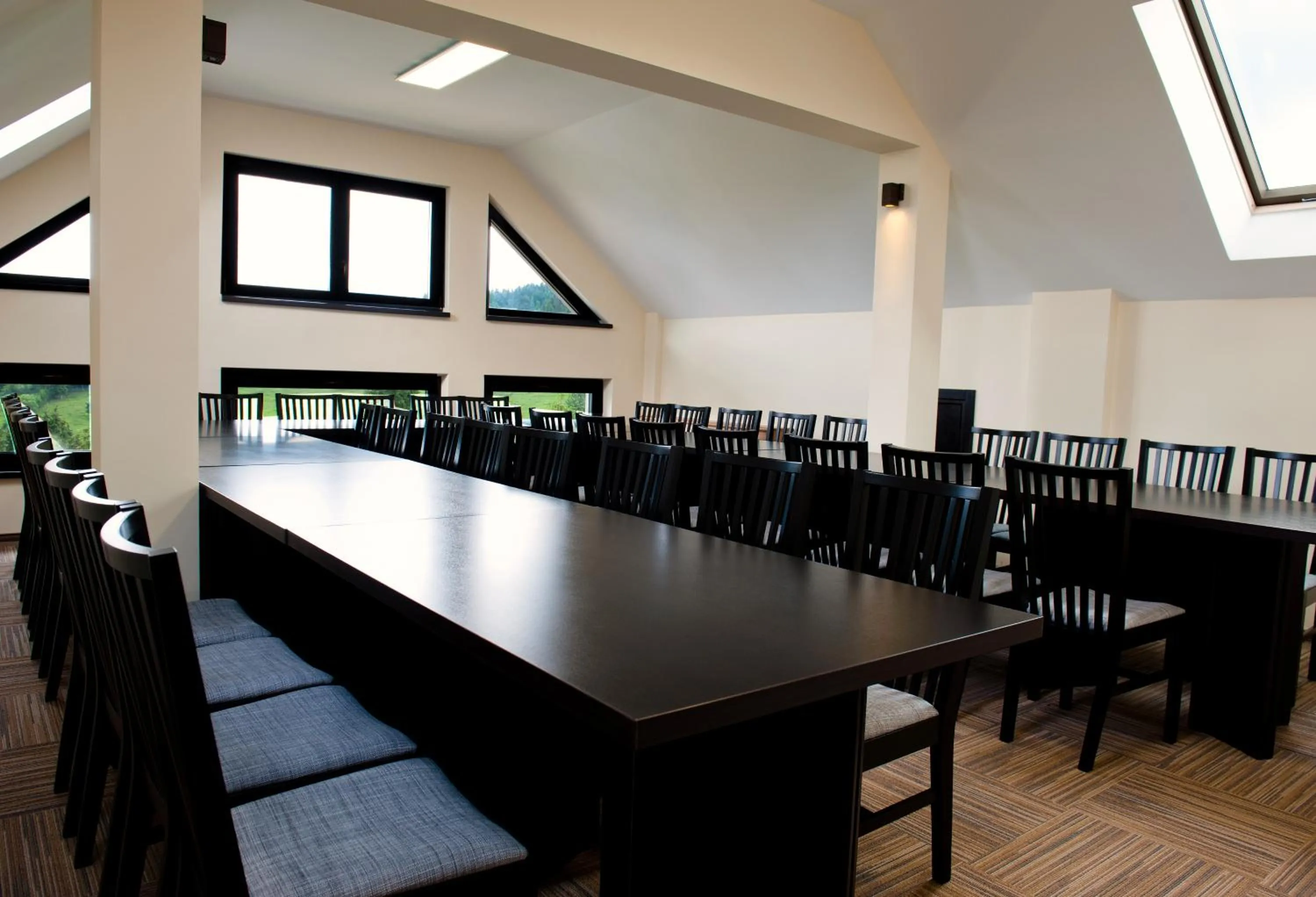 Business facilities in Domeniul Dornei