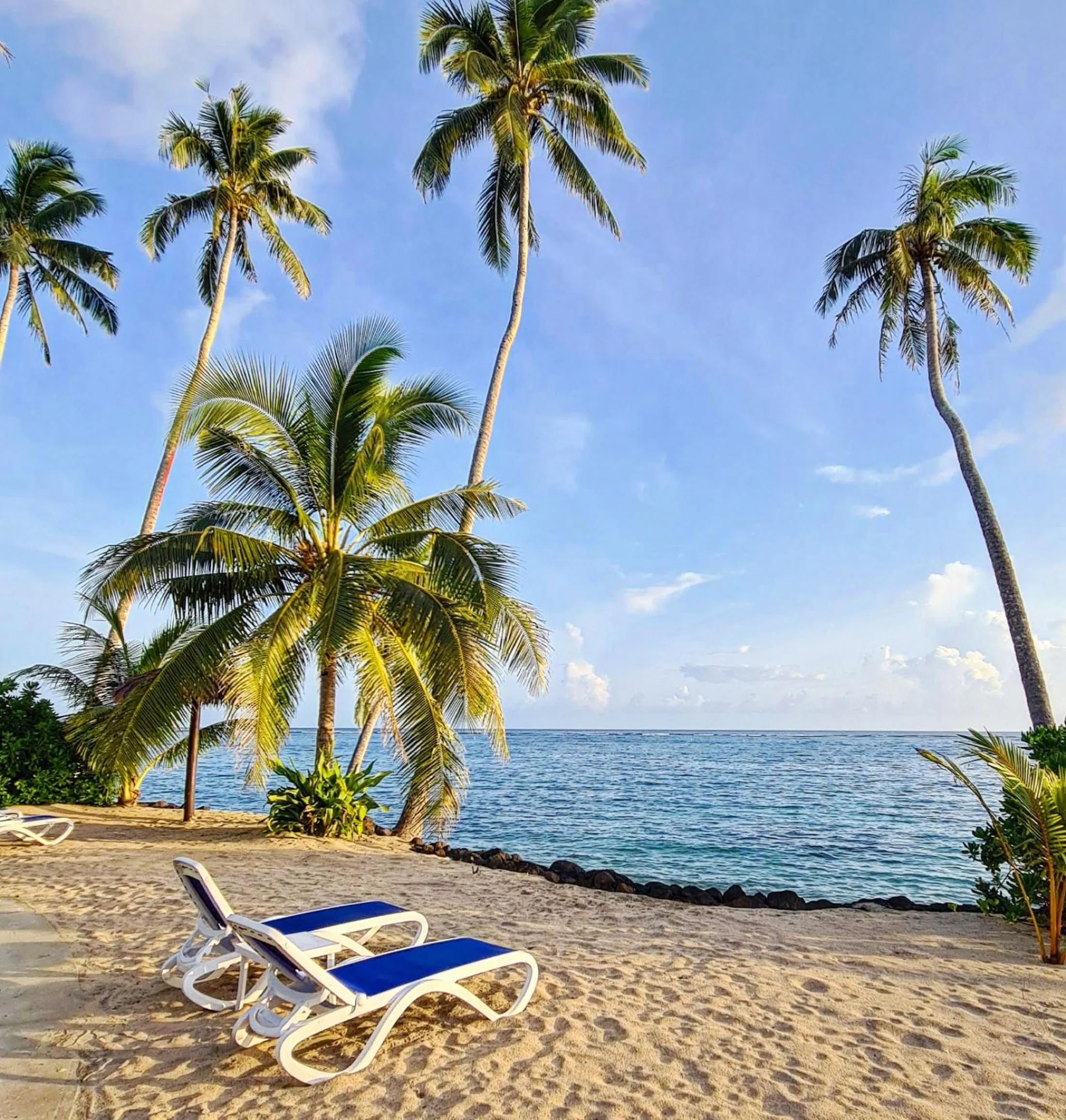 Beach in Saletoga Sands Resort & Spa